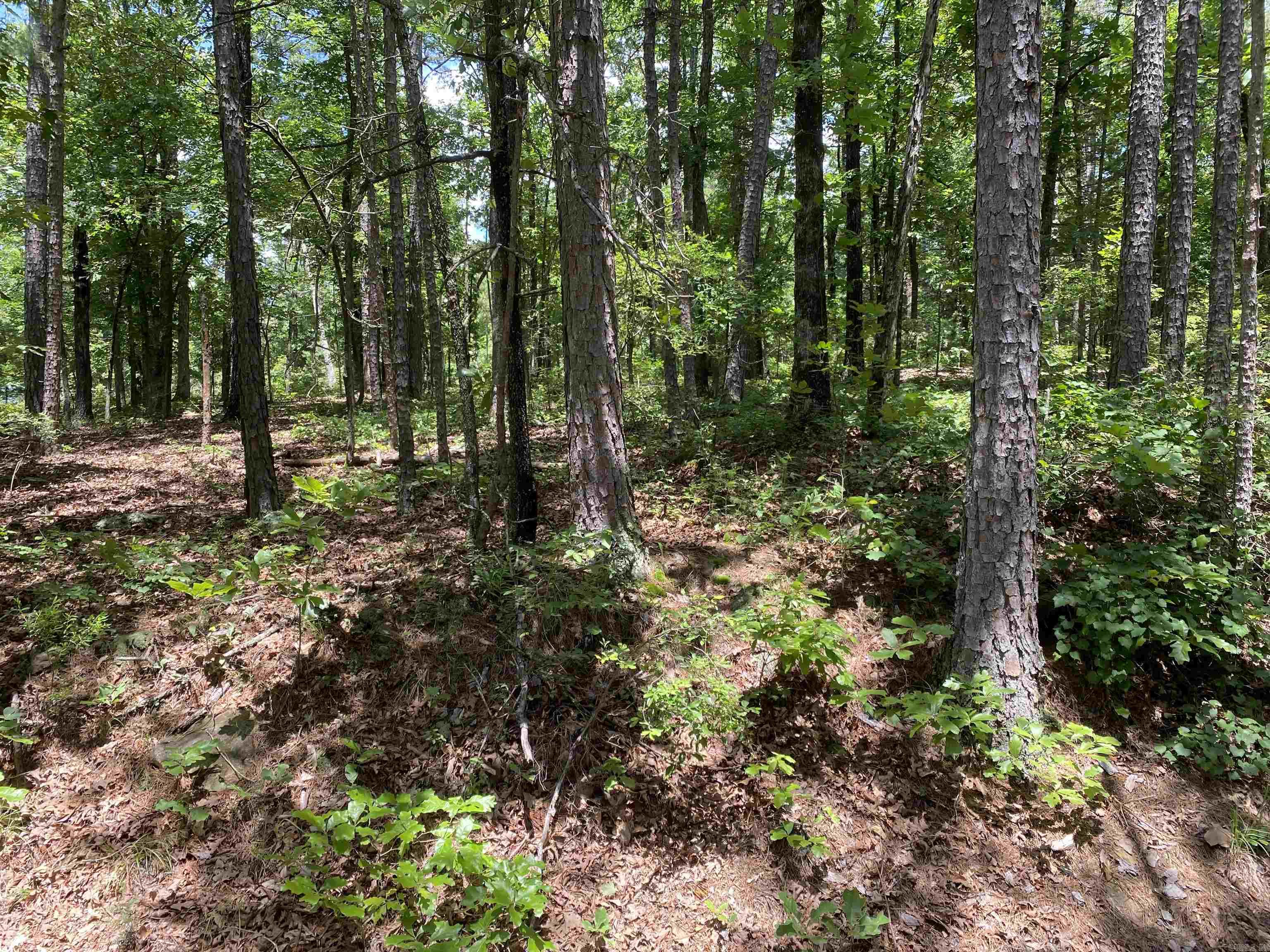 Nice lot great for building your dream home. Wooded with lots of trees for shade. Quiet neighborhood in a nice subdivision. Mobiles allowed. Acreage is approximate. Drive by and give us a call today.