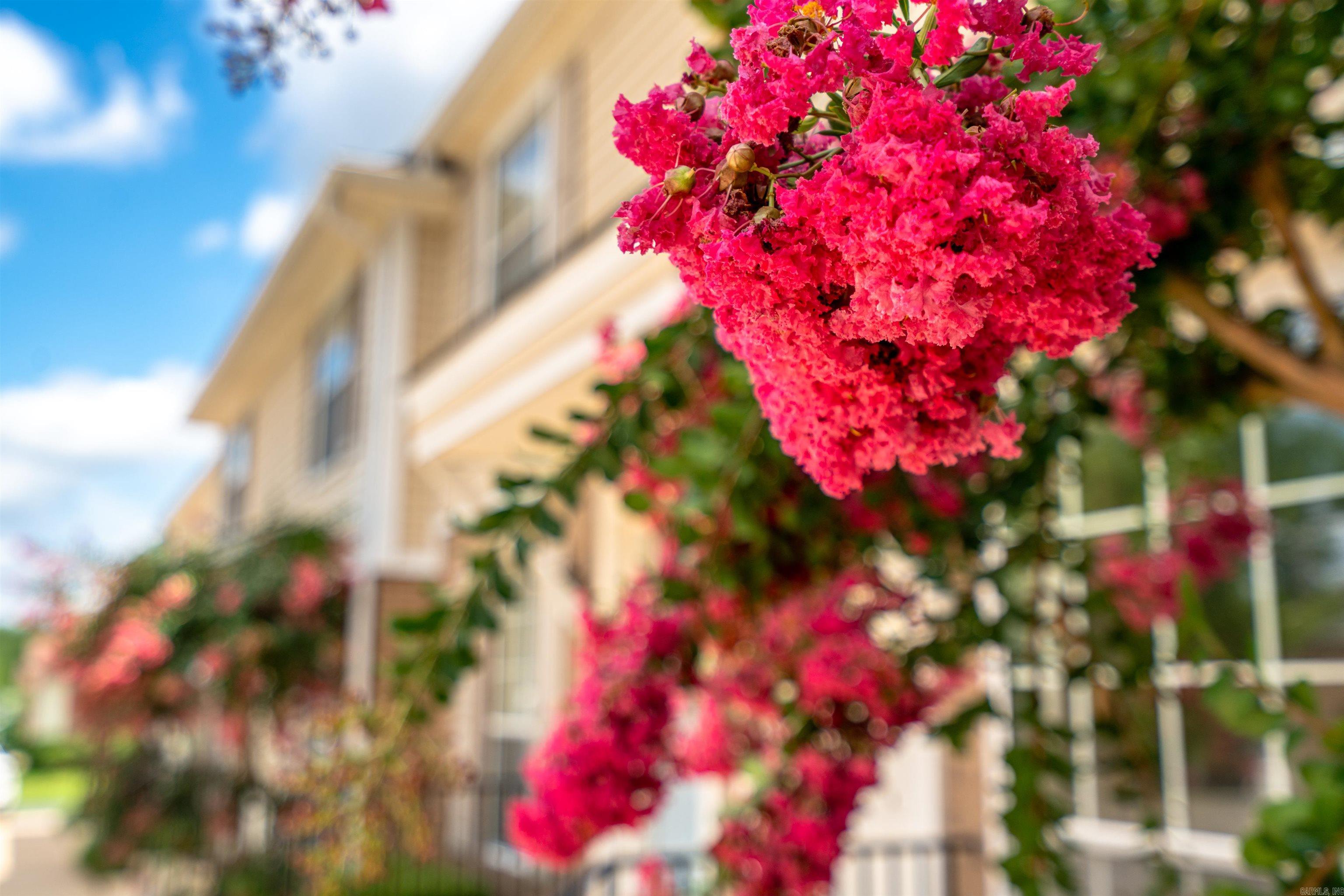 01S - Residential Income