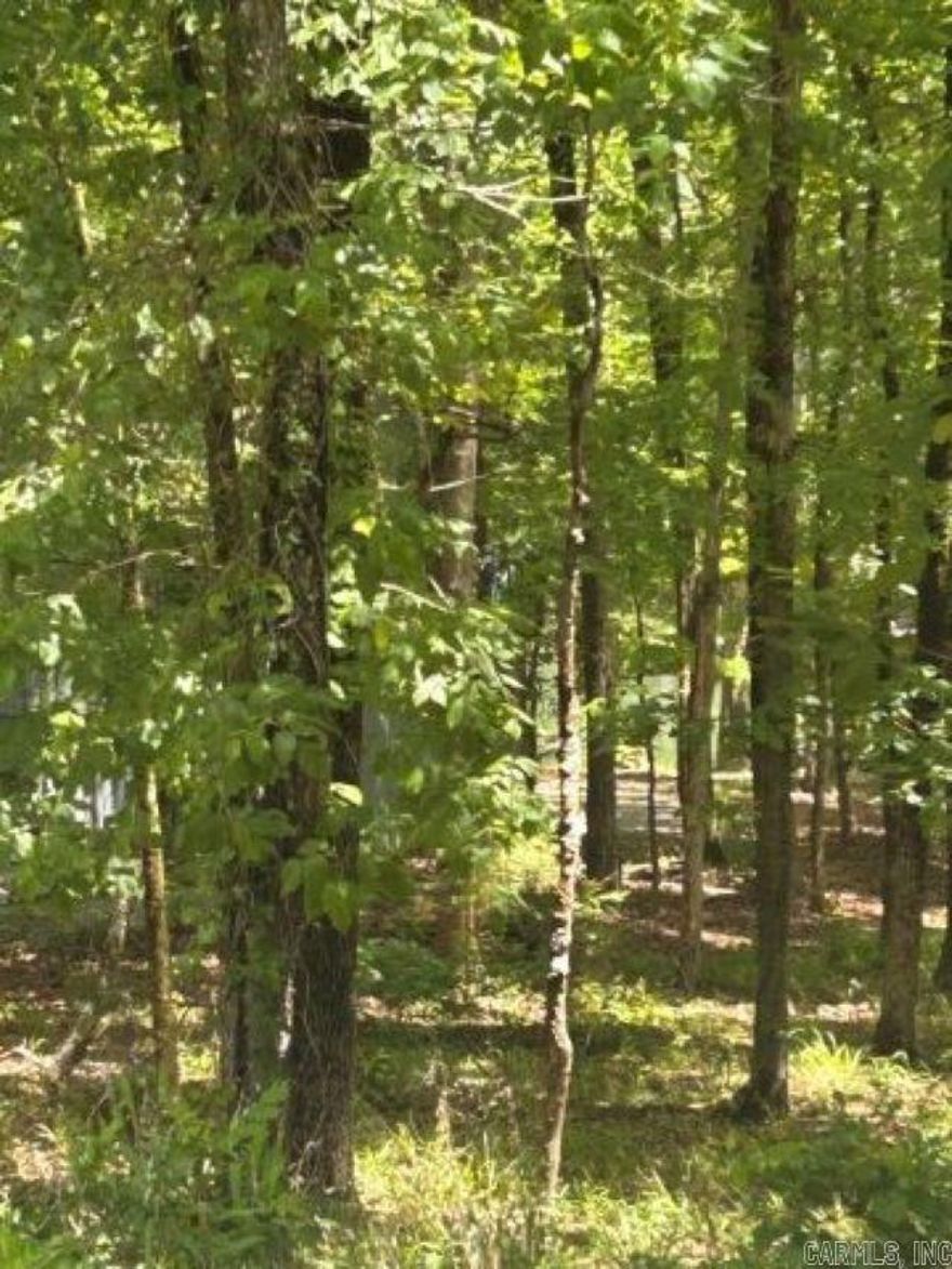 Don't miss your opportunity to own property on beautiful Lake Cortez surrounded by mature trees for added privacy and natural beauty. This buildable homesite offers a peaceful setting with lake access and seawall where you can pull your boat right up to the property.  Per the seller, it is approved for a swim platform, with the option to apply for a dock. The adjacent lot is also currently undeveloped, allowing for additional privacy. A perfect setting to build your dream lake home and enjoy all the beauty and recreation lakeside living has to offer, as well as enjoy all the amenities Hot Springs Village has to offer with golf, pickleball, tennis and much more!