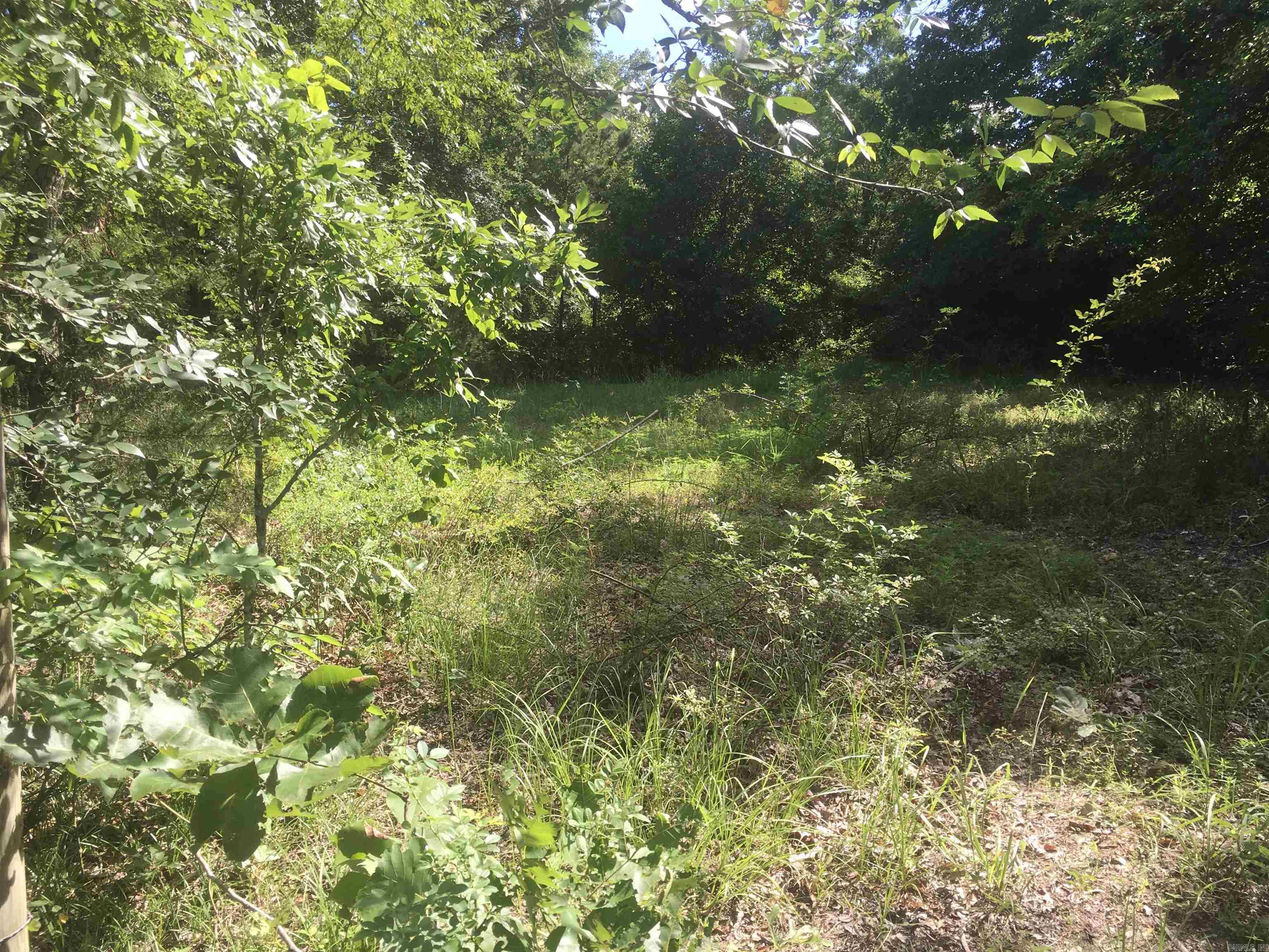 Enjoy tranquility in the country on a quiet lane with no restrictions! Two possible home sites at each end of the property.There’s a meandering wet weather creek, and a great place to build a pond. Not far from the Ouachita River and ATV trails.