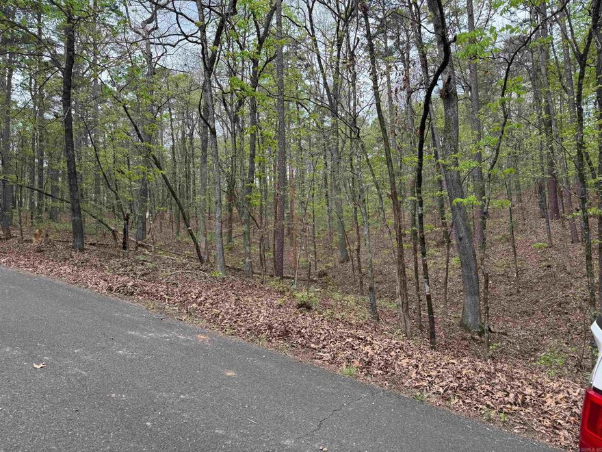 PRIVATE AREA OF HOT SPRINGS VILLAGE...CALL RIGHT AWAY FOR MORE INFORMATION...