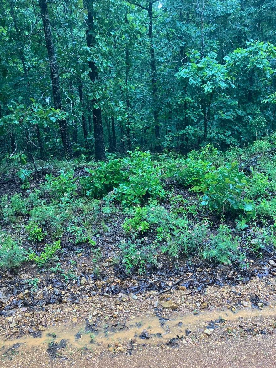 Prime hunting land! Wooded 10-acre m/l tract with excellent timber. Abundant wildlife for hunting enthusiasts. Includes a designated camping area and electricity on-site. No restrictions, offering endless possibilities. NO OWNER FINANCING! Call today!