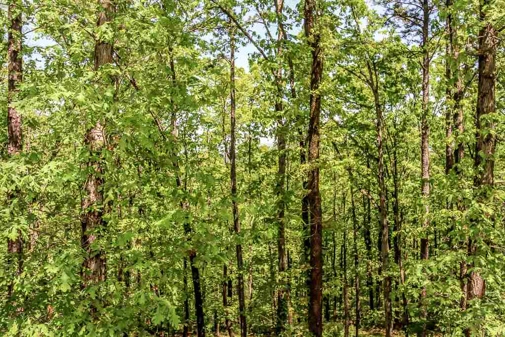 Mariposa - Residential