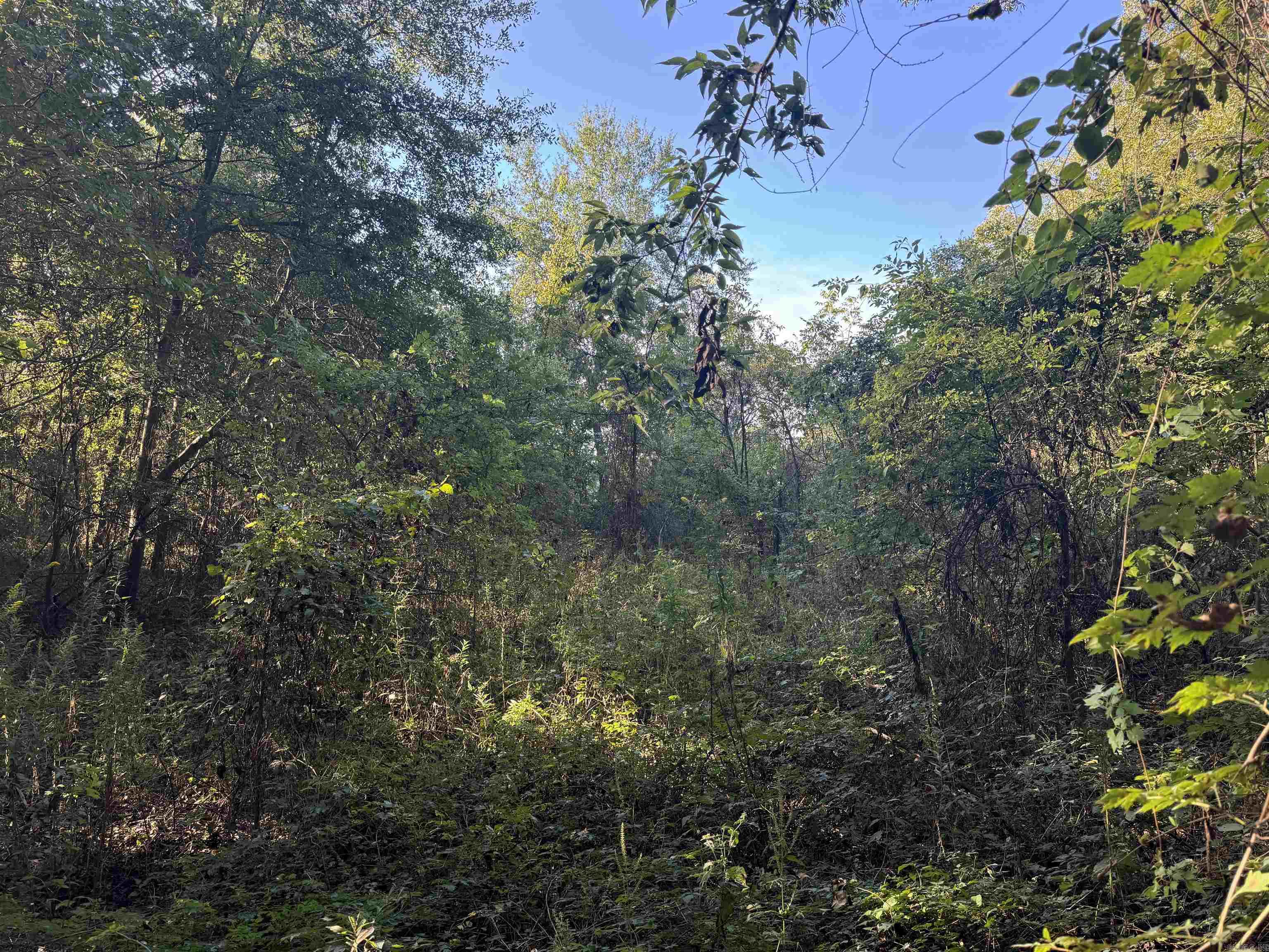 Not in Subdivision - Land