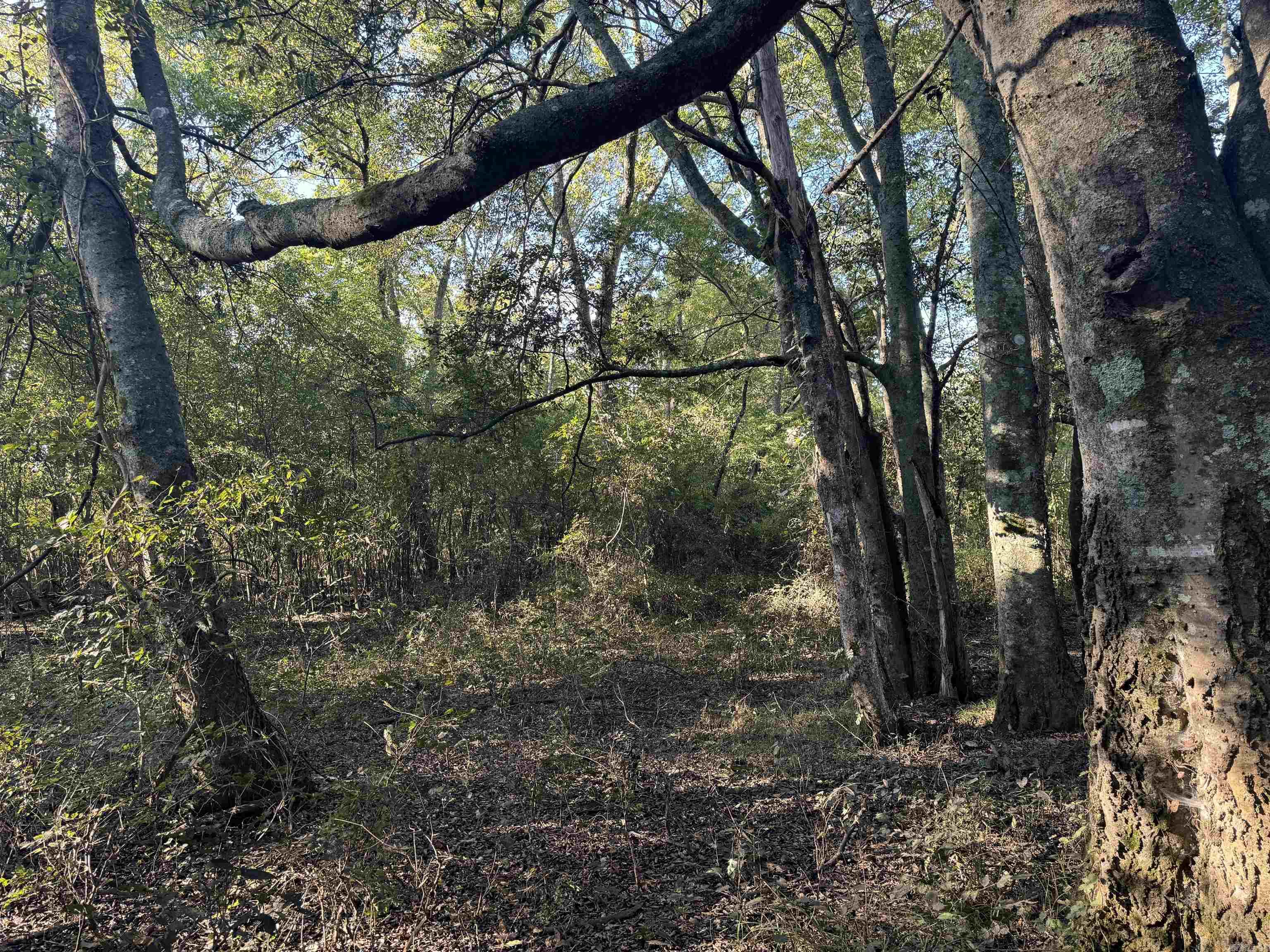 Not in Subdivision - Land