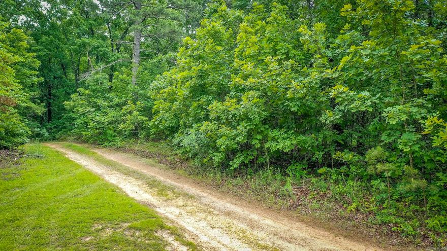 Approximately 45.50 acres, more or less, of prime wooded land located on Mathis Road offers an excellent opportunity for hunting and outdoor recreation. This expansive property features dense tree coverage, providing natural habitat for deer, turkey, and other game species. The land's varied terrain makes it ideal for setting up hunting blinds or creating trails. Utilities are available at the road, making it convenient for potential development, cabin construction, or placing a hunting lodge. Whether you're an avid outdoorsman or looking for a private escape, this property combines seclusion with accessibility.