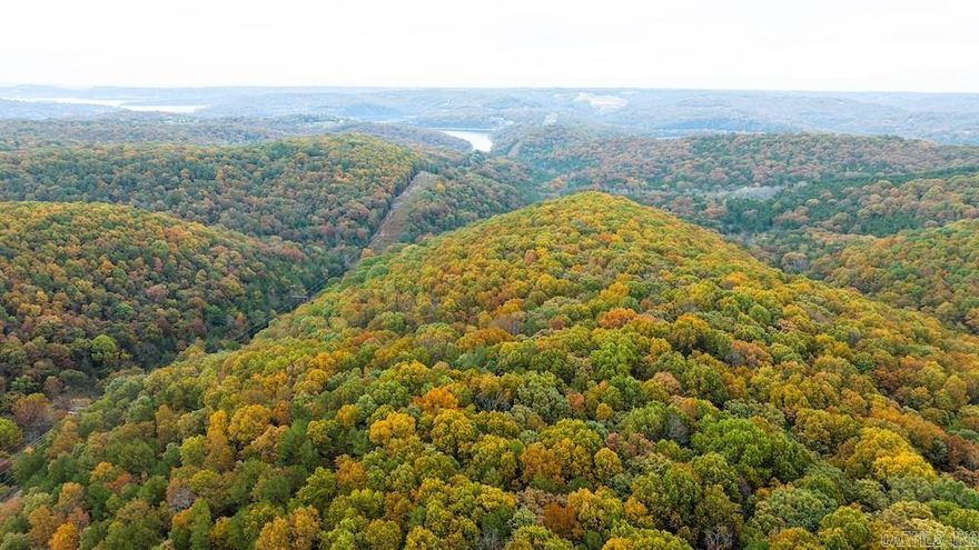 What a beautiful wooded recreational tract near Table Rock Lake and Blue Eye, MO! This lush timber-covered tract is accessed by deeded easement about ¾ mile from the paved road. The rich hardwood trees consist of White Oak, Red Oak, Post Oak, and more. The rolling hills, high ridgetop, wooded valley, and large power line are all prime for hunting the resident deer and turkey population. Numerous spots would work well for a hunting cabin or camper spot to establish your dream recreational property close to the lake. Table Rock Lake is just a few minutes down the nearby paved county road, and there is access to a public boat launch near Cricket Creek Marina, Long Creek Marina, and Big Cedar Lodge. Blue Eye, MO, is just minutes up the road for access to all the amenities one would need, and there are no restrictions. The area is prime for investments and developments alike, with the renowned Table Rock Lake right down the road, a quick drive to the famous Branson, MO, and many other remarkable area attractions. This region is known for its tourist attractions and recreational destinations that fit everyone. There are no restrictions, and additional adjoining land is available.