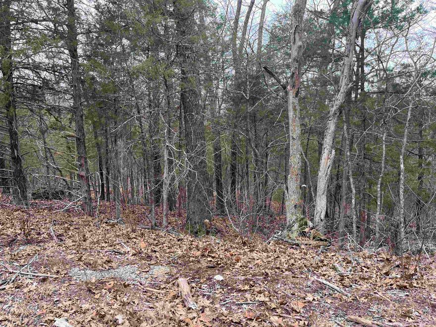 Nice corner lot for sale.