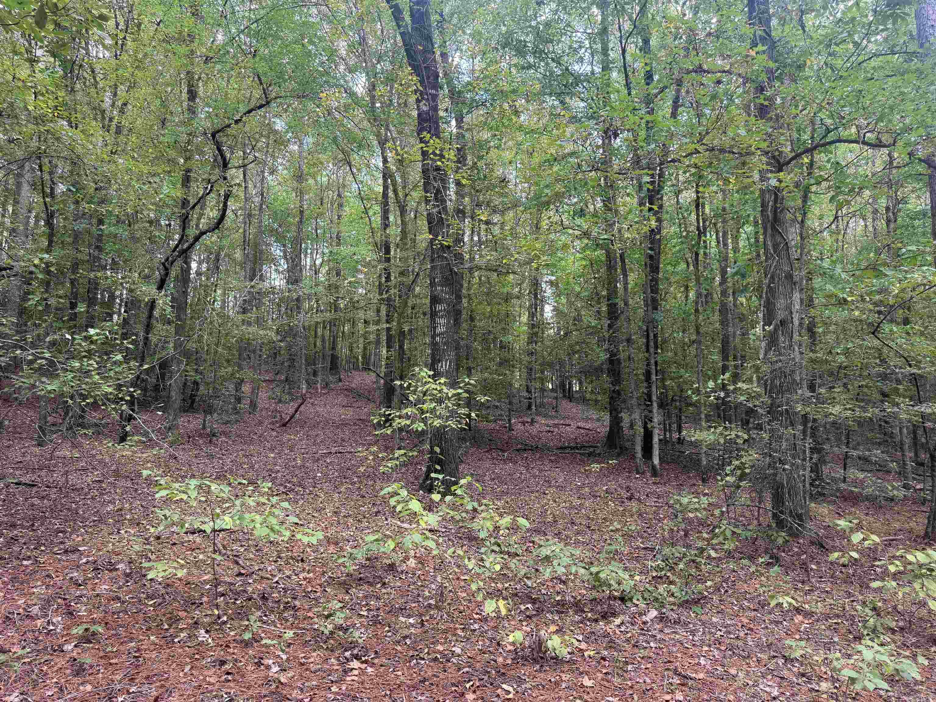 Not in Subdivision - Land