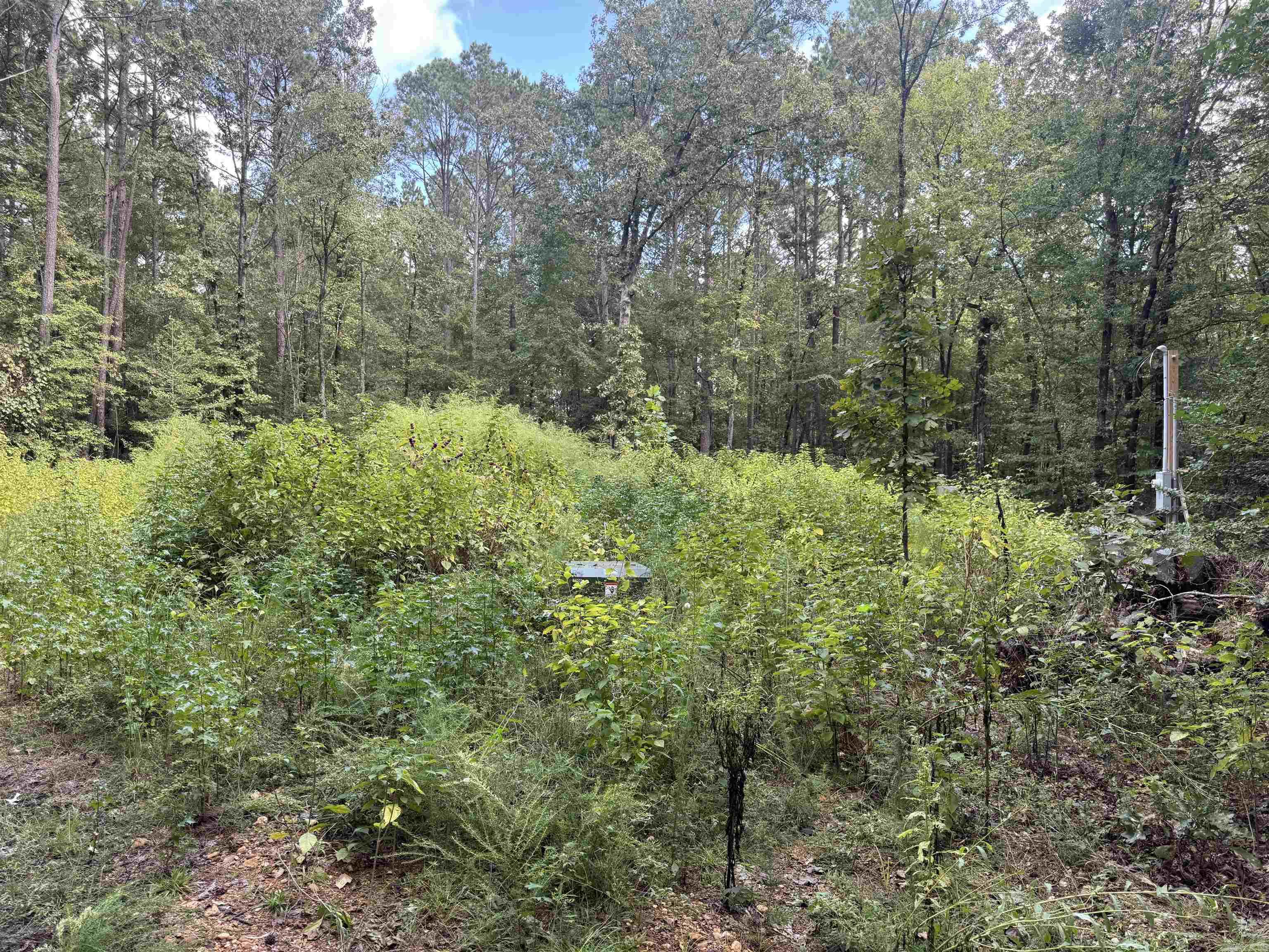 Not in Subdivision - Land