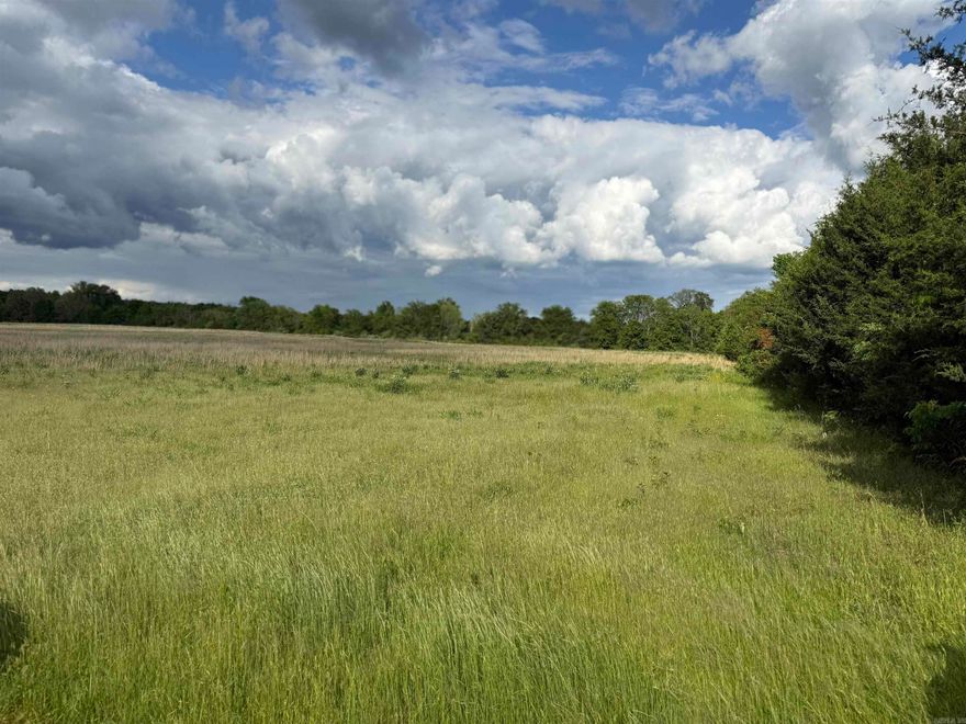 120 ACRES READY FOR YOUR VISION(S) - OPPORTUNITY, OPPORTUNITY OPPORTUNITY - A MUST SEE!!!  WHETHER YOU ARE SEEKING TO INSTALL A NEW SUBDIVISION, PREP/DEVELOP AND SELL 2-5 RESIDENTIAL ACRE LOTS, ADD AN APARTMENT COMPLEX, SELL THE APPROXIMATE 30 ACRES OF OAK, PURCHASE AS A FARM OR AN EXPANSIVE HOME PROPERTY.  LET YOUR IMAGINATION SOAR.