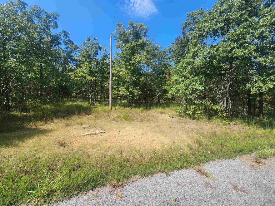 Secluded 10.77 Wooded Acres on the outskirts of Conway in the Saltillo area.. This property is situated between Tower Road and Rolling Manor so you have multiple options for a homesite. Access to Water would be from Rolling Manor side. No restrictions on this property so possibilities are endless. Multiple Building spots to consider. Electric at the road, Water available at the road- would need to connect a meter. Easy access to both Vilonia, Mayflower and the Jacksonville Air Force Base. Call today for more info