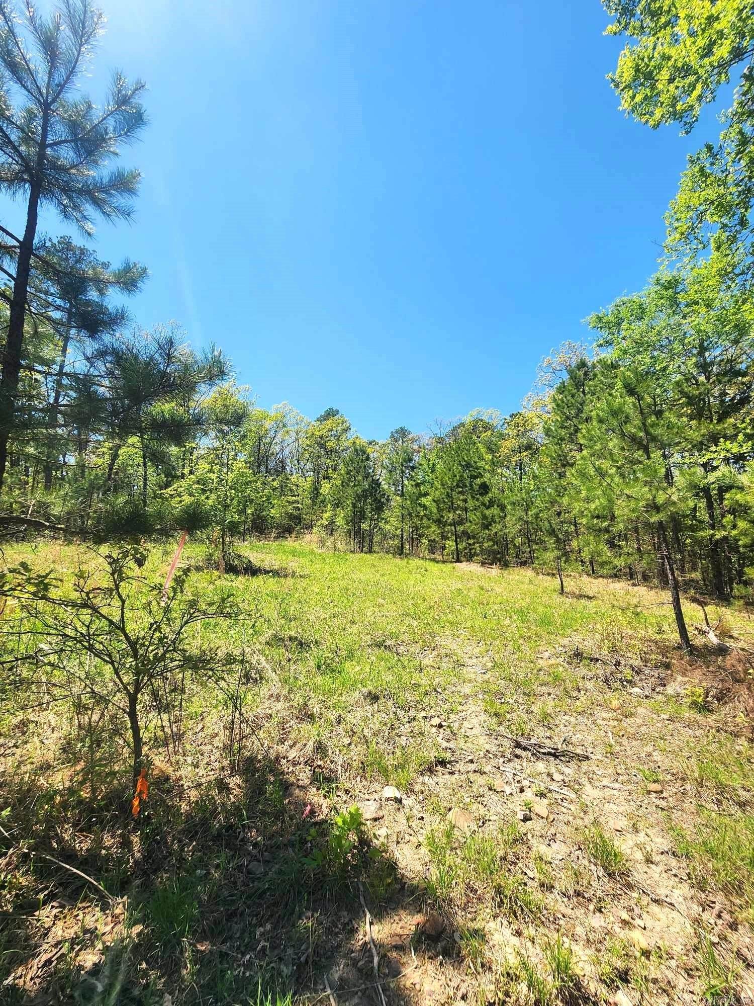 Timber Ridge East - Land