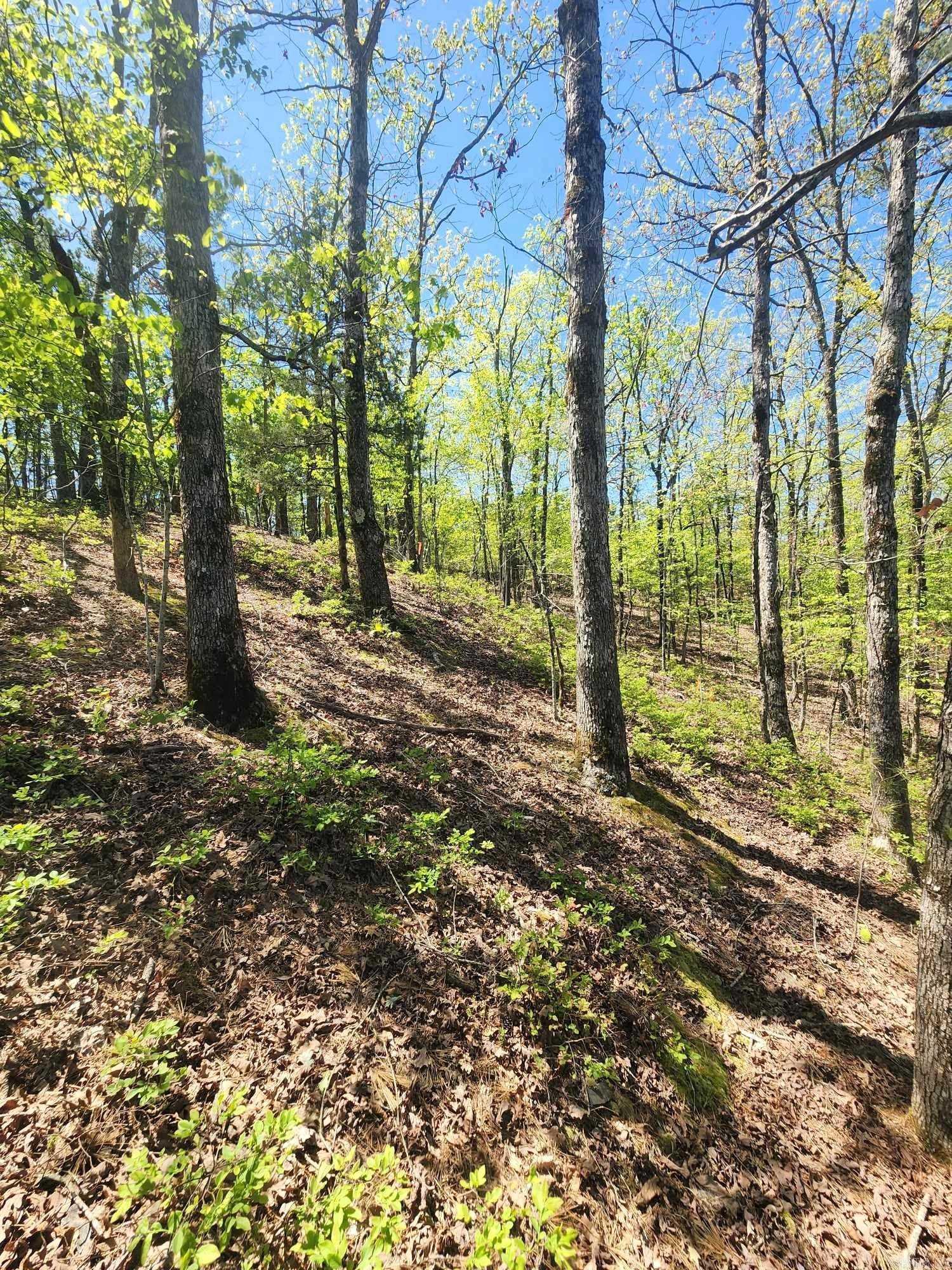 Timber Ridge East - Land