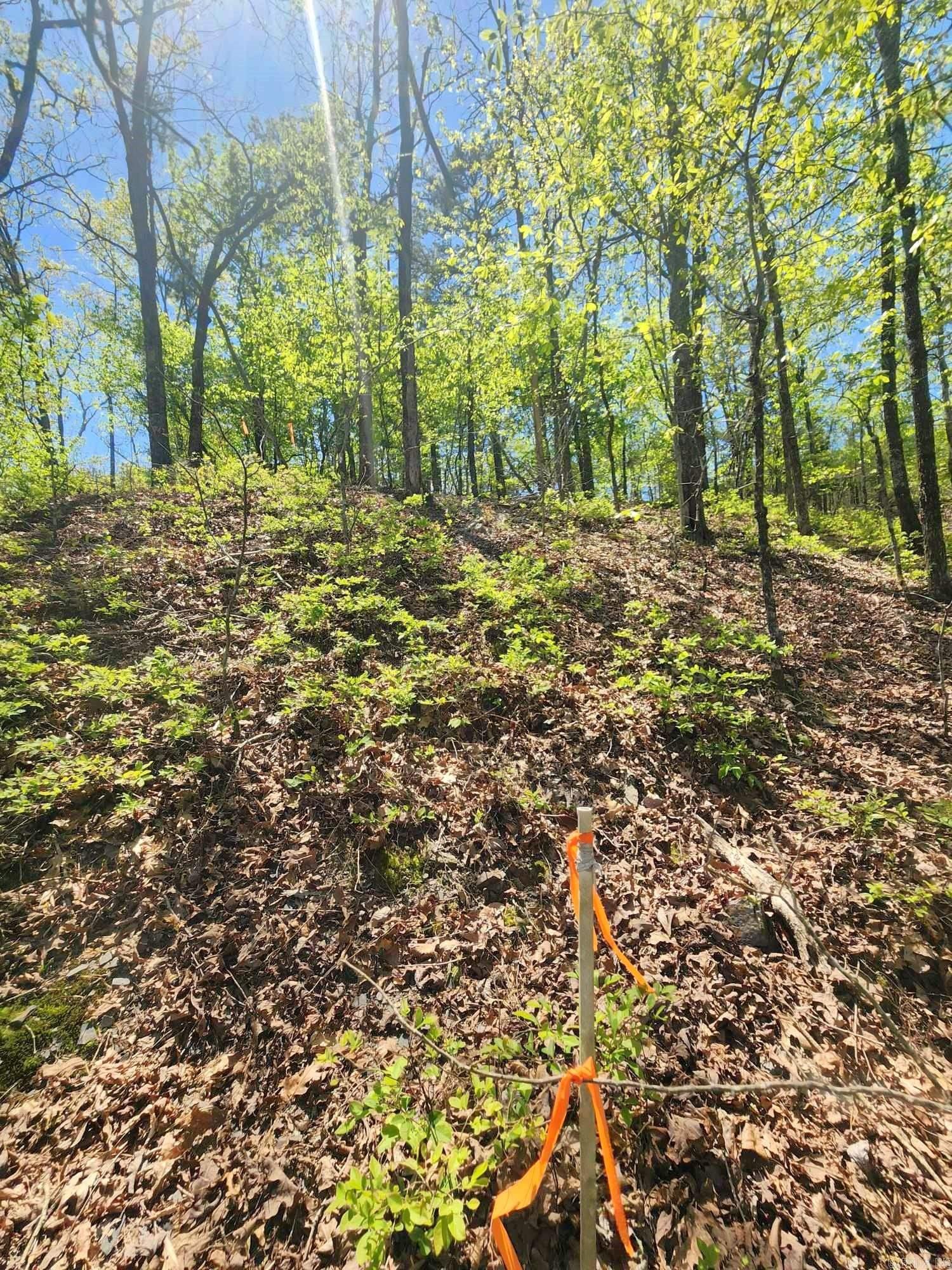 Timber Ridge East - Land