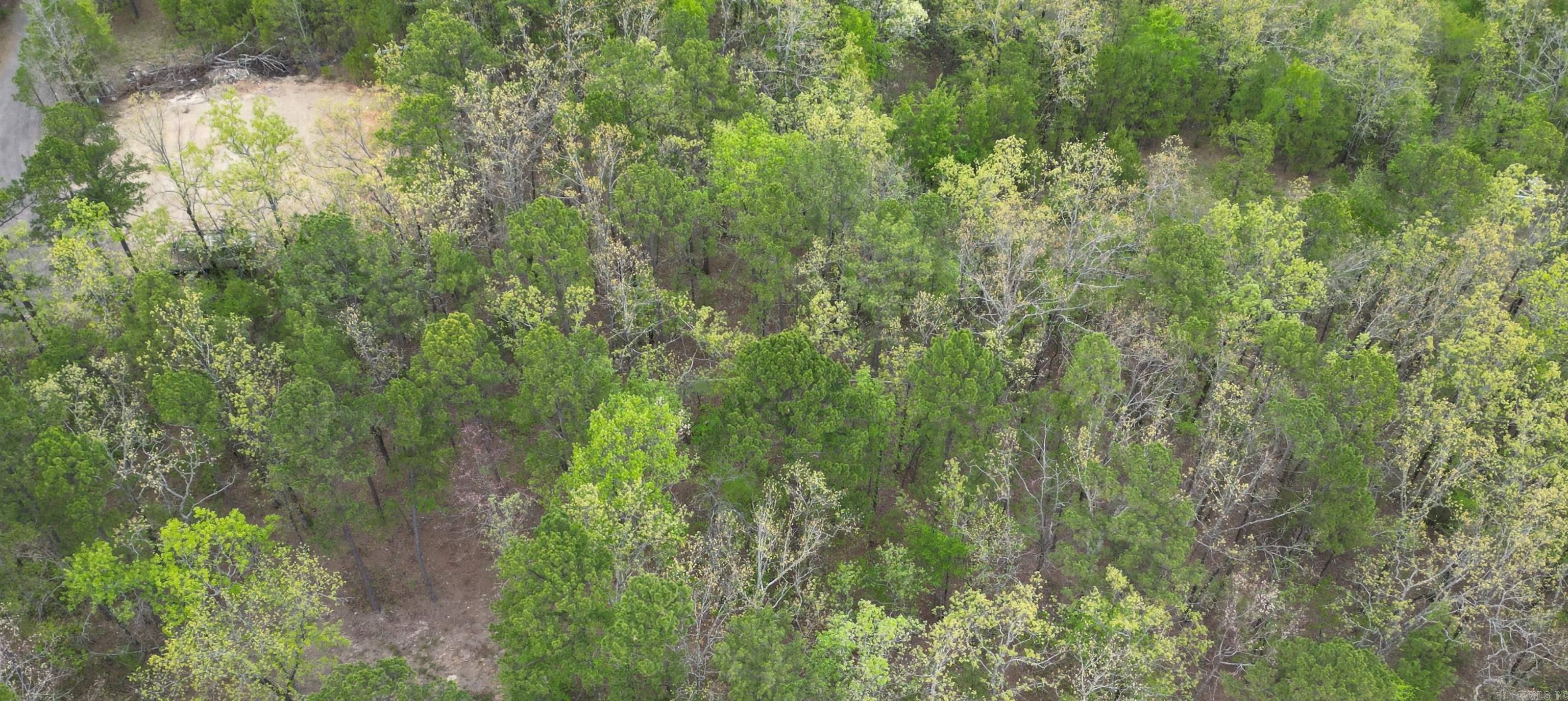 Timber Ridge East - Land