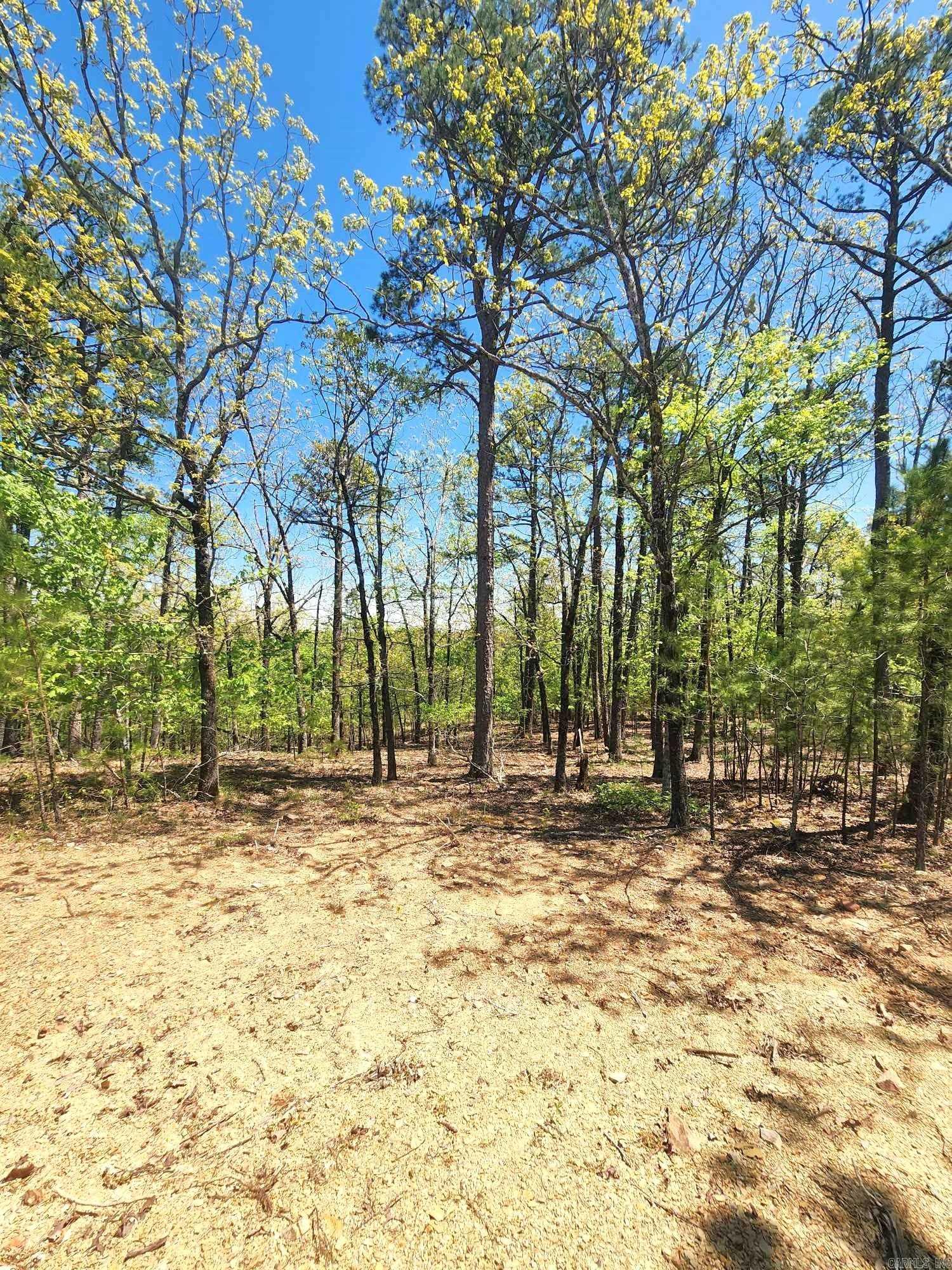 Timber Ridge East - Land
