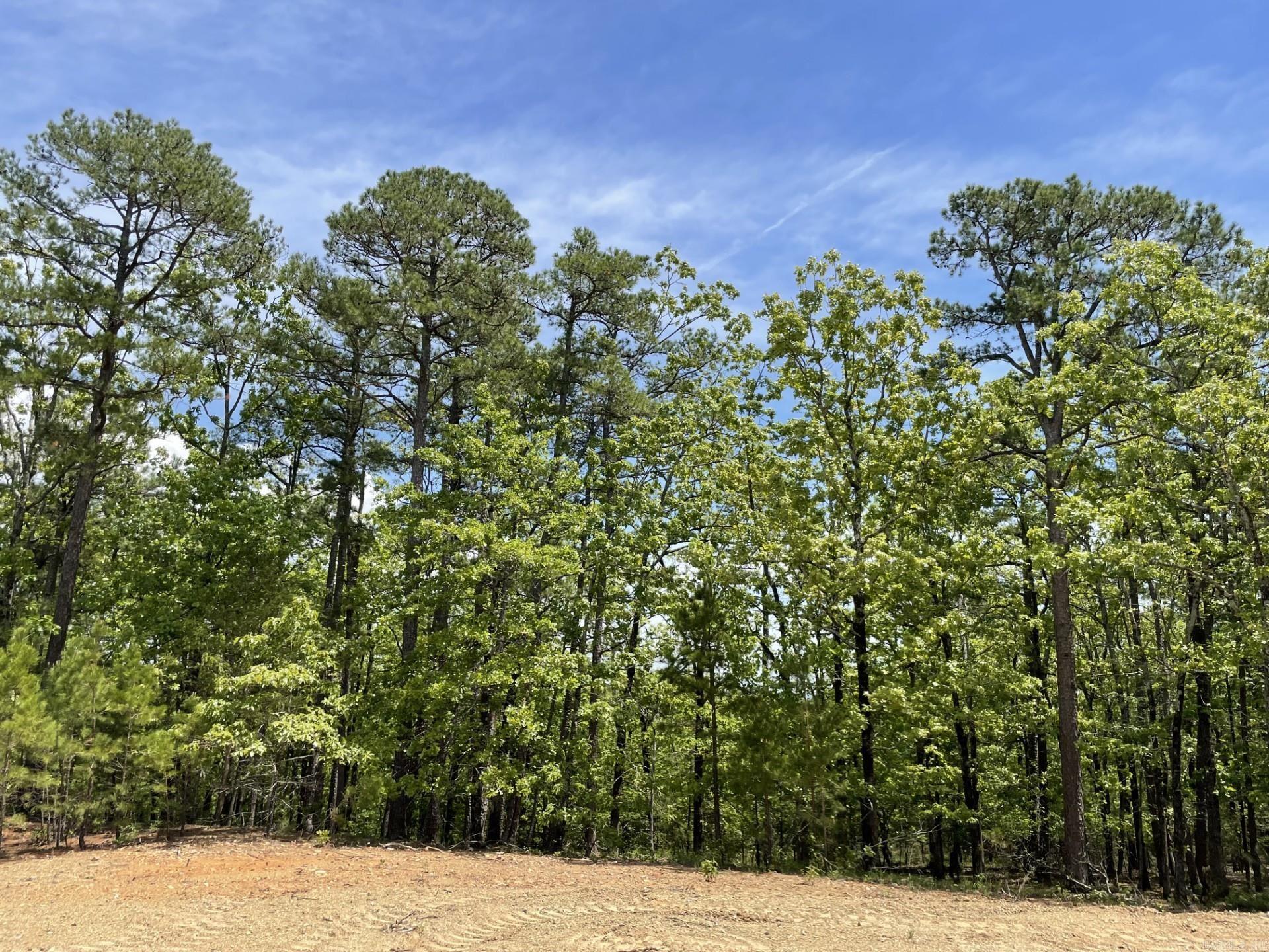 Timber Ridge East - Land