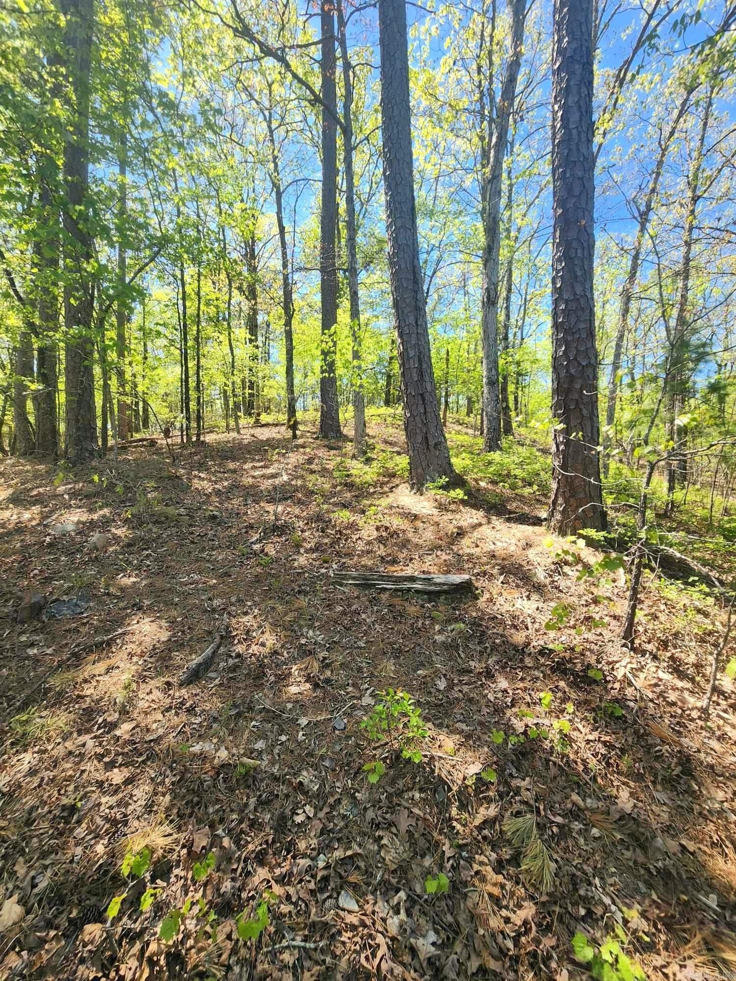 Timber Ridge East - Land