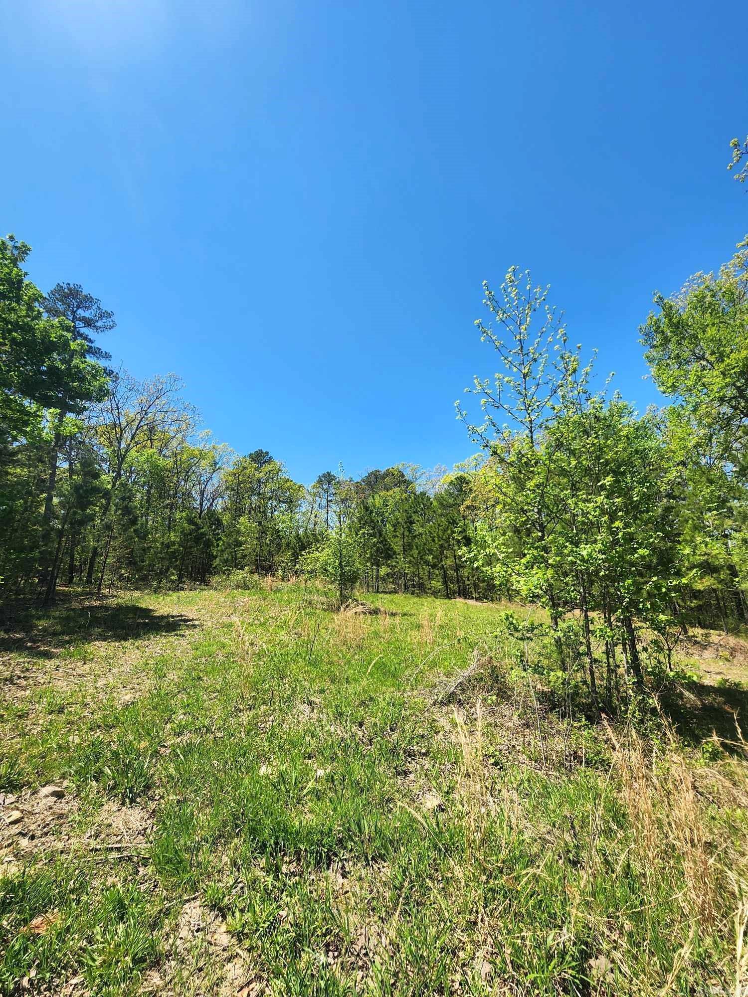 Timber Ridge East - Land