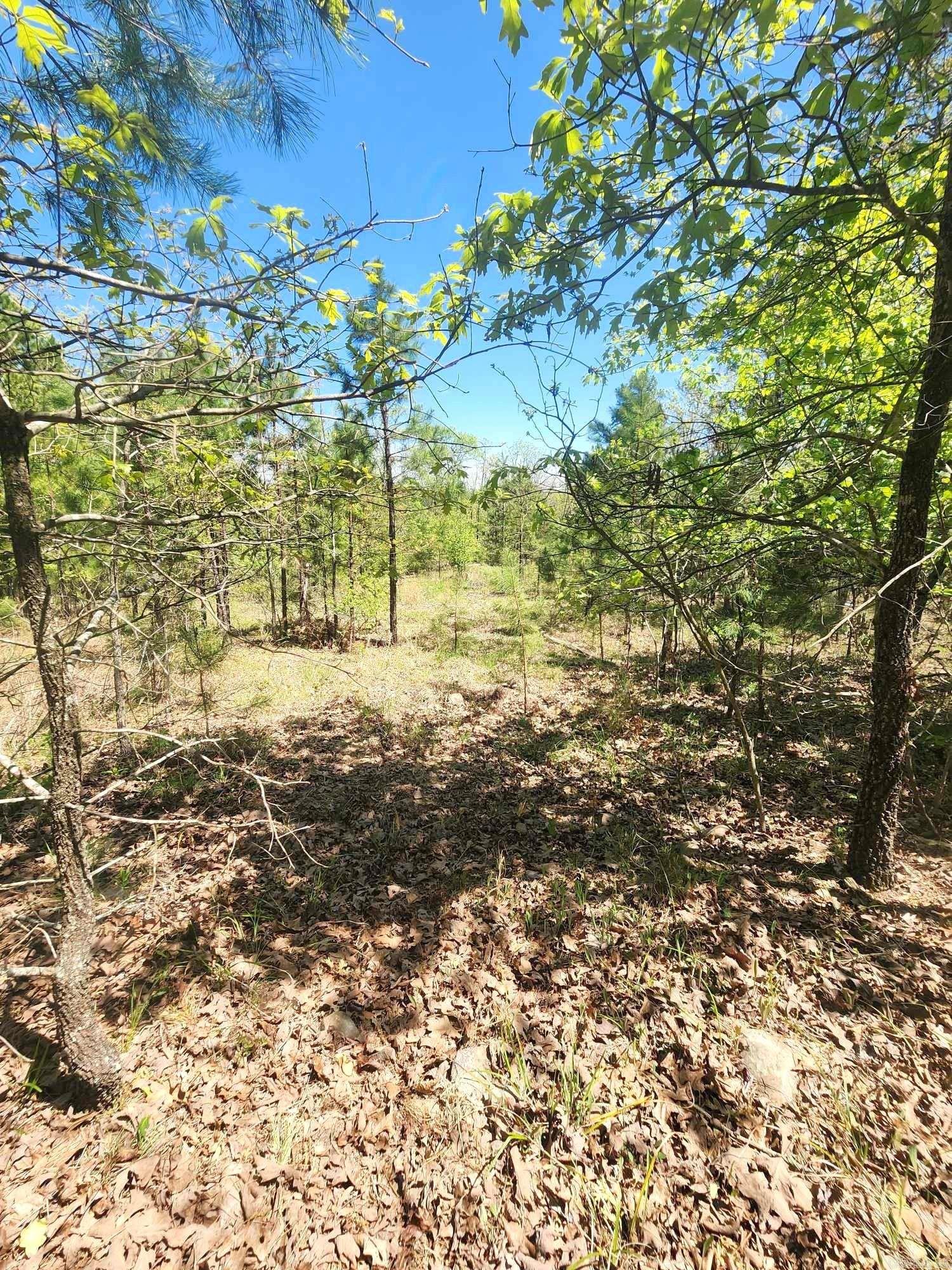 Timber Ridge East - Land