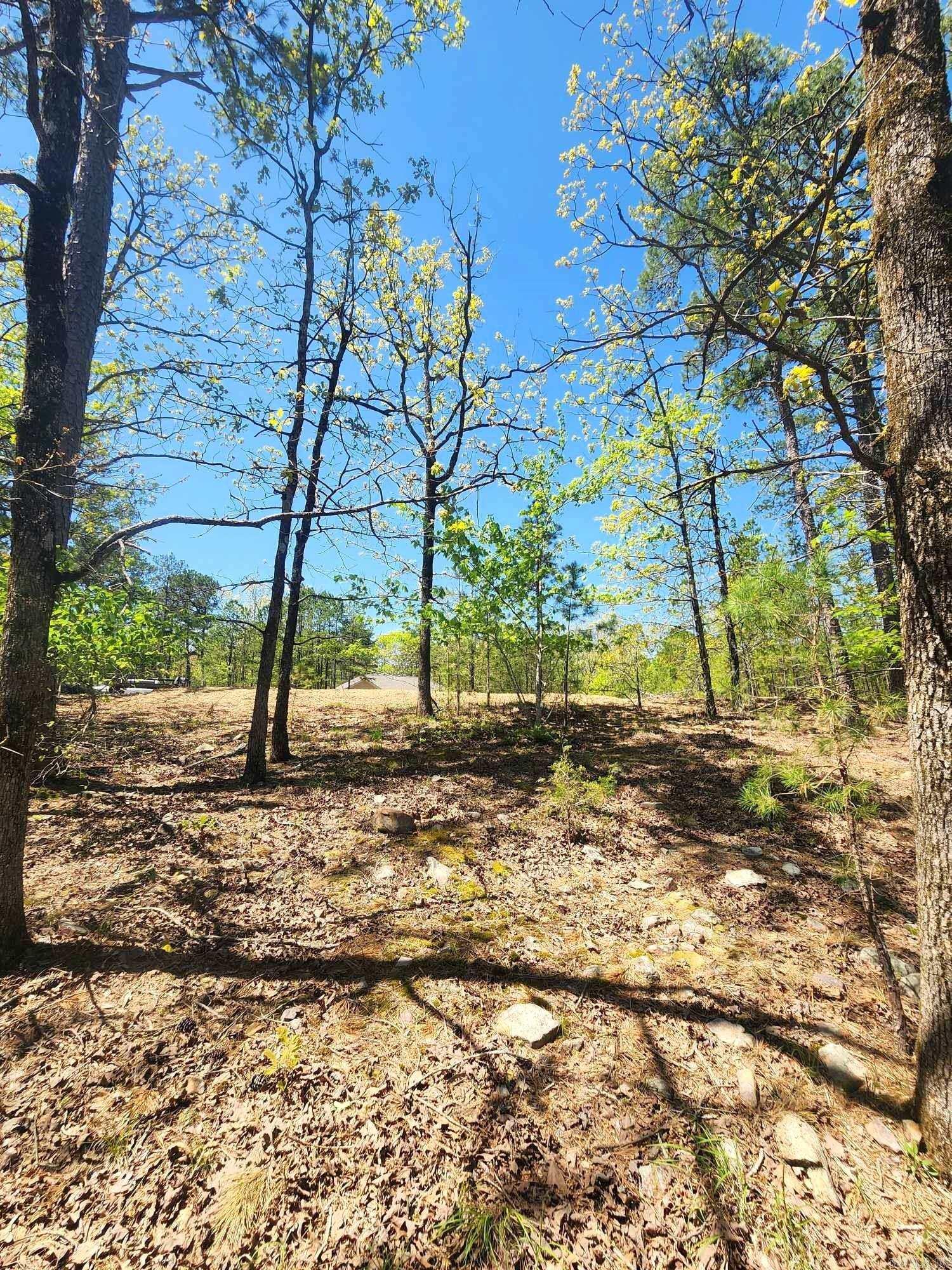 Timber Ridge East - Land
