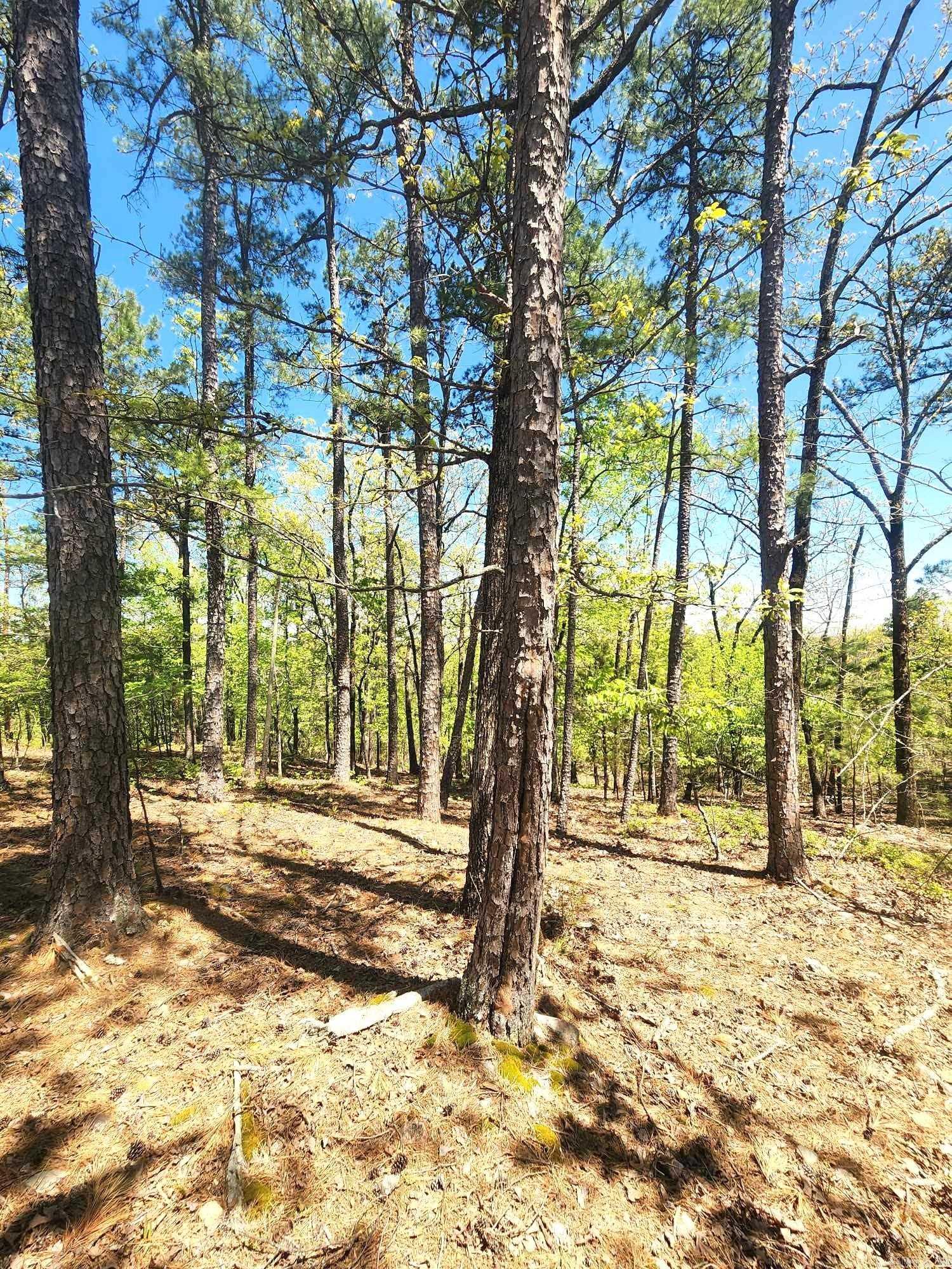 Timber Ridge East - Land