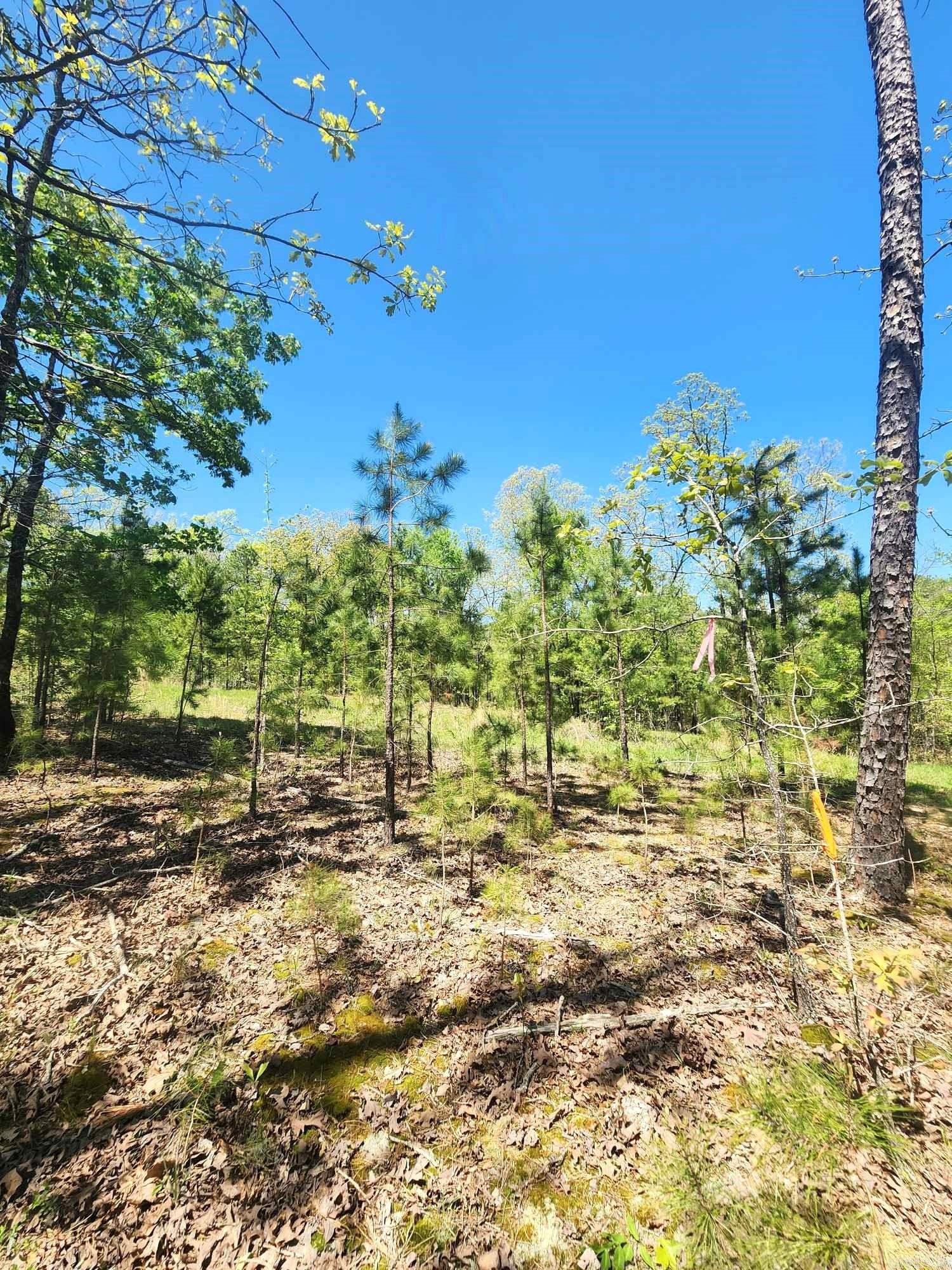 Timber Ridge East - Land