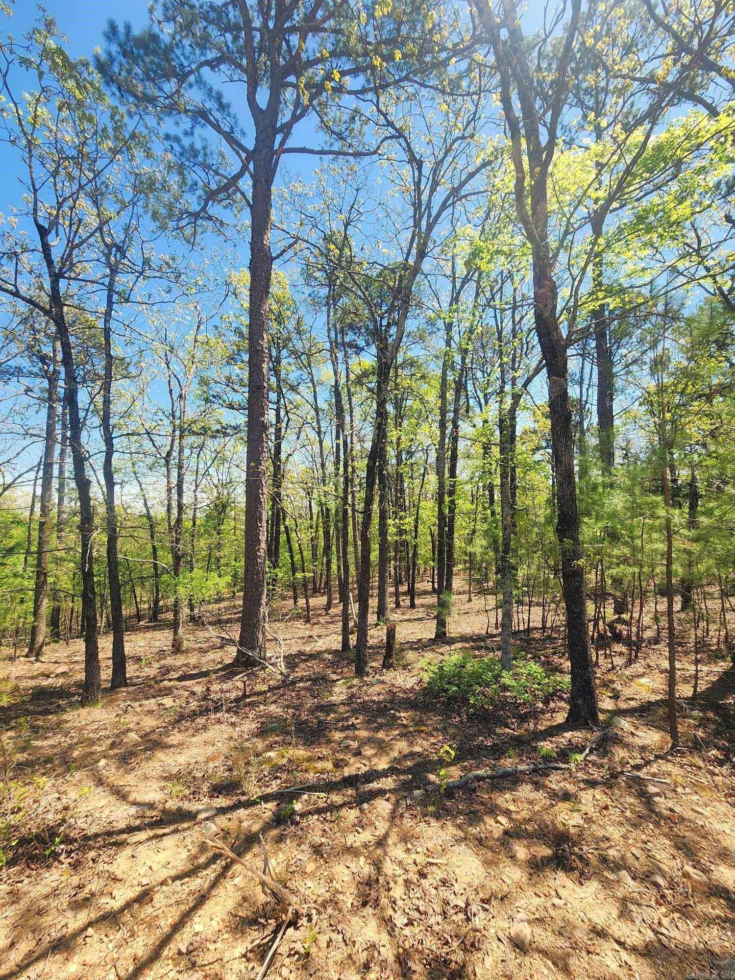 Timber Ridge East - Land