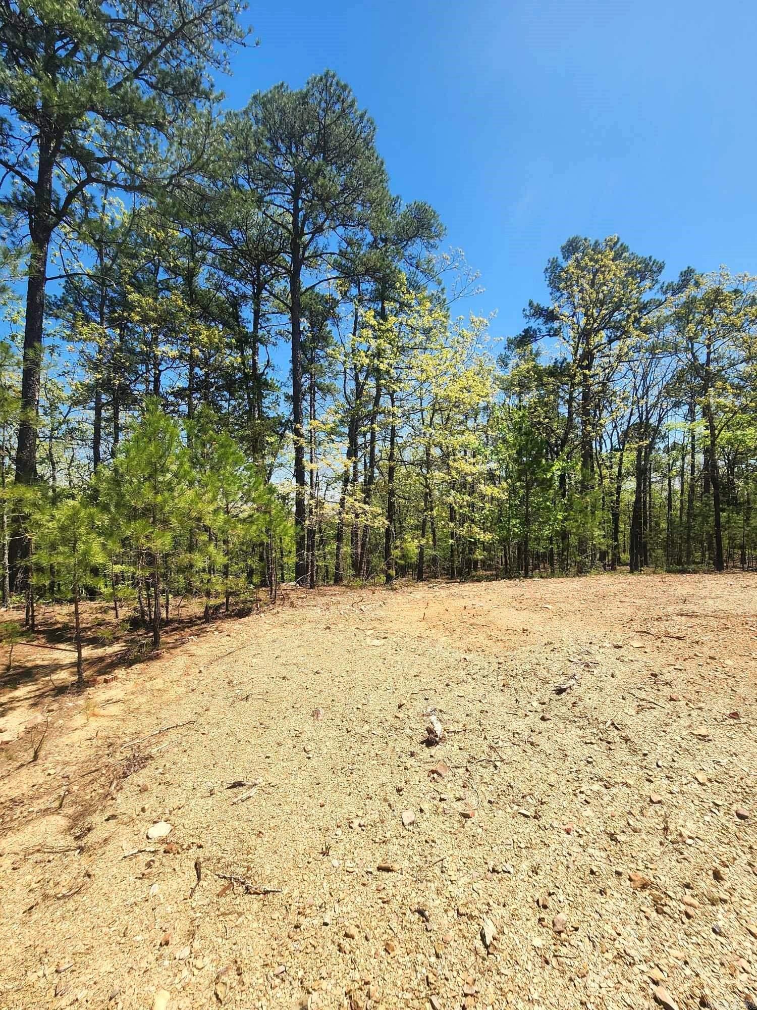Timber Ridge East - Land