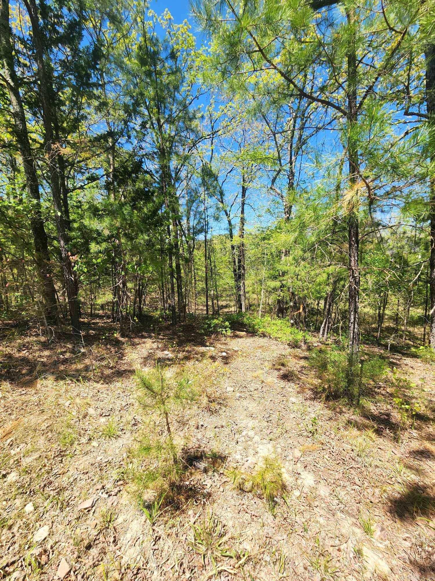 Timber Ridge East - Land