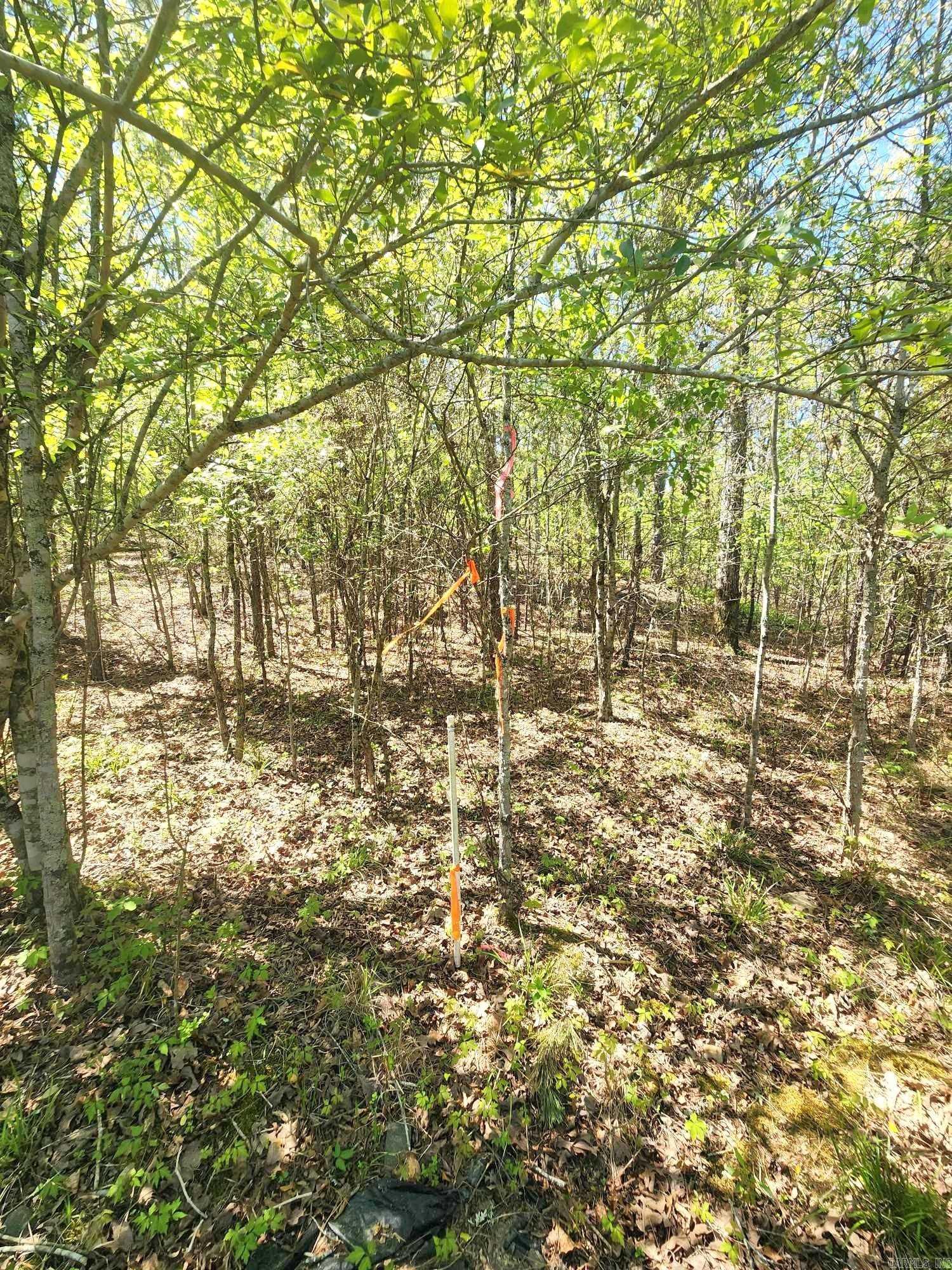 Timber Ridge East - Land