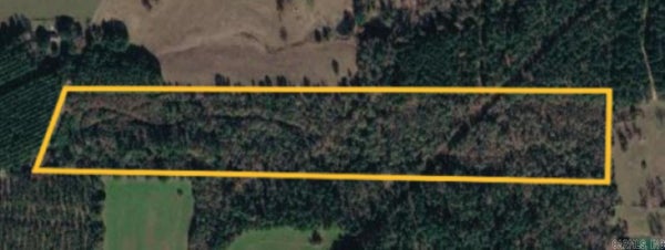 ADDRESS PRIVATE, DODDRIDGE, AR 71834 - Image 0e1bfb1ee1b1ef8d701ce6a2e6a10dc0/2748945984