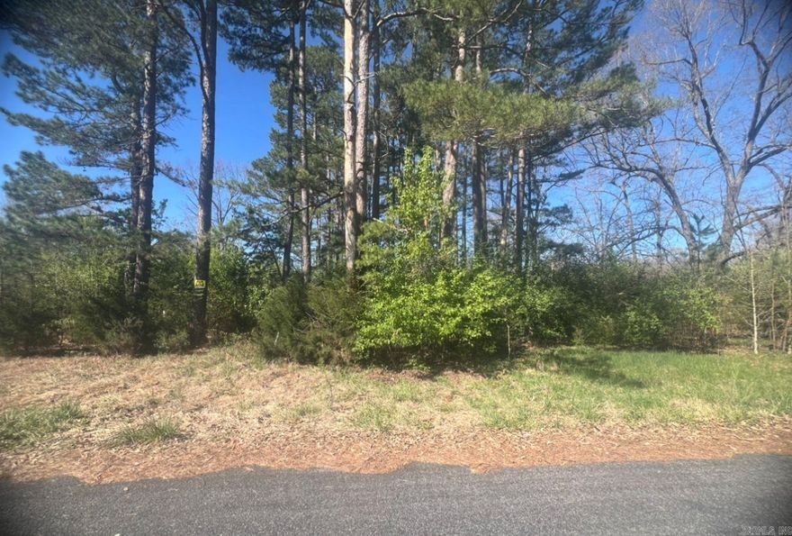 Owner financing available- 303 E Church St This vacant, corner lot is 1 block to Crown Lake and walking distance to 2 golf courses! Build your own dream home in this beautiful community that offers so many amenities. Crown Point Resort is 1 mile offering jobs and entertainment!  The Horseshoe Bend Water Department will have Water & Sewer information for you concerning water service and trash service. That number is 870-670-5885 or you can email at water@cityhsb.org The electricity is provided by North Arkansas Electric Cooperative. Their number is 870-895-3221.  Horseshoe Bend has so much to do for the whole family like fishing, canoeing, golfing, bowling, swimming, etc. Diamond Lake & Crown Lake are a 5-minute drive from these lots! Crown Point Resort is also 5-minutes offering local jobs and entertainment!  Horseshoe Bend is also ATV friendly, with a permit. They have their own law enforcement, a private airport/airport strip, recycling center, and TELECARE program for the elderly. All within 10-minutes!