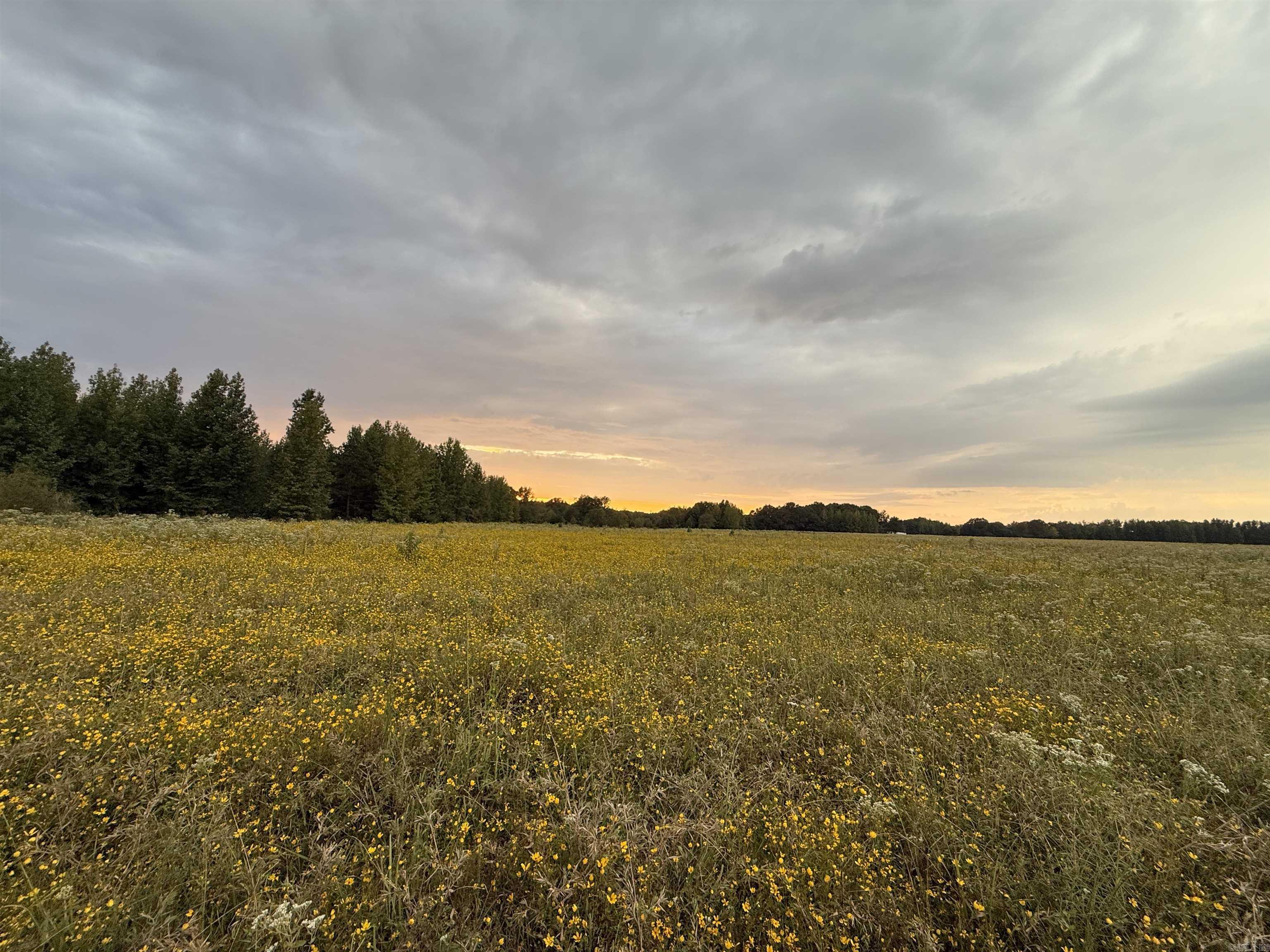 Metes & Bounds - Farm