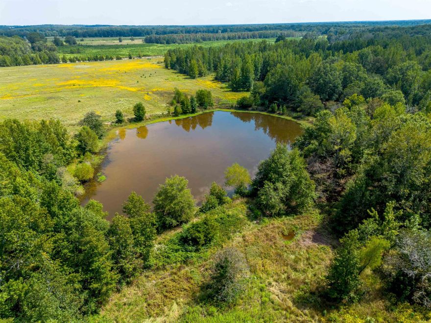Ideal Country Retreat Just Minutes from Town!  This small farm has it all—pasture, pond, paved road access, city water, and electricity. Located just 4.5 miles from Beebe and Ward off I-57, it's also 10 miles from Cabot and under 20 miles from Searcy. If you’re looking for a peaceful escape from the city, this property is only 30 minutes from North Little Rock, offering the perfect balance of country living and convenience.  (agent owned)