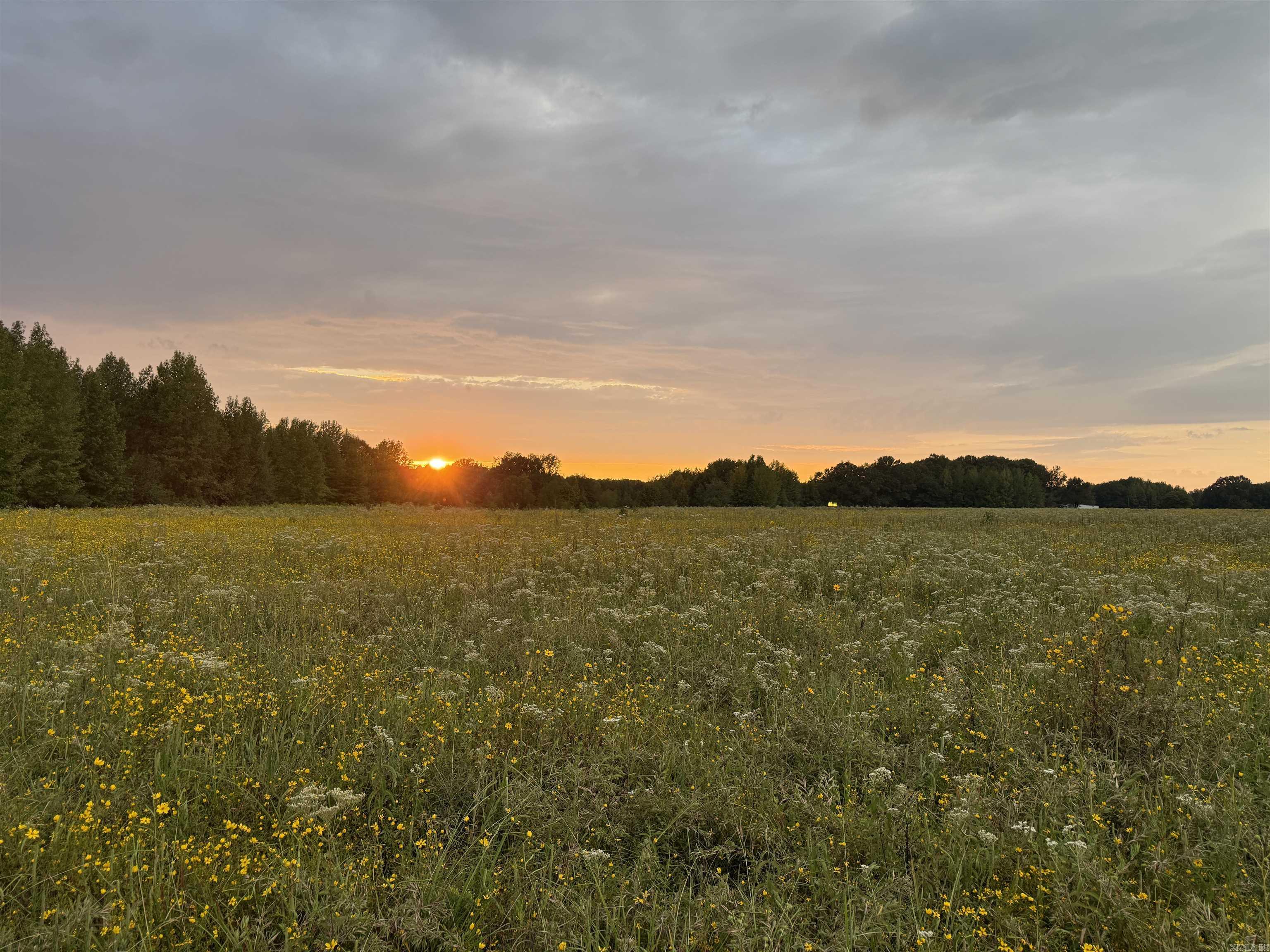 Metes & Bounds - Farm