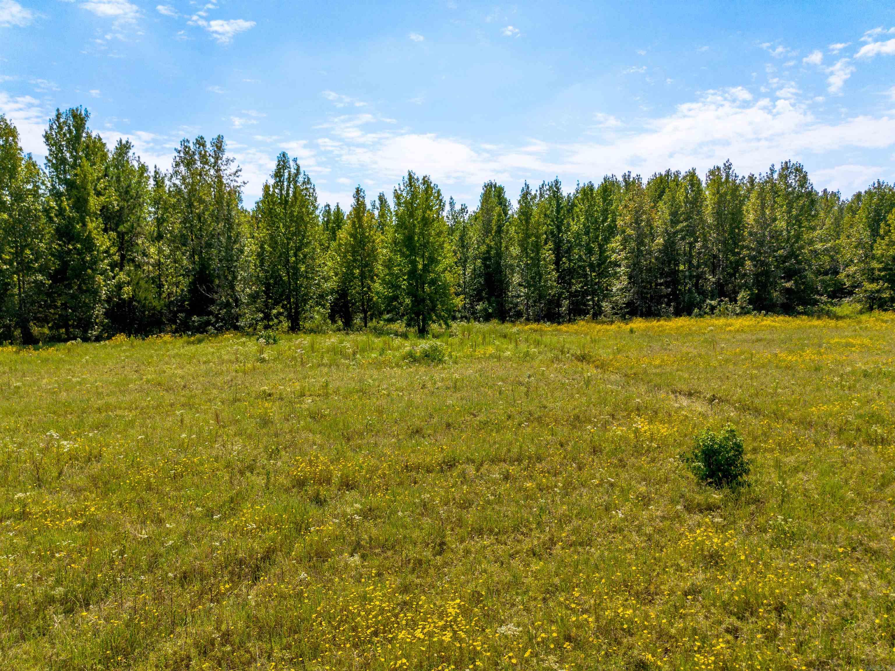 Metes & Bounds - Farm