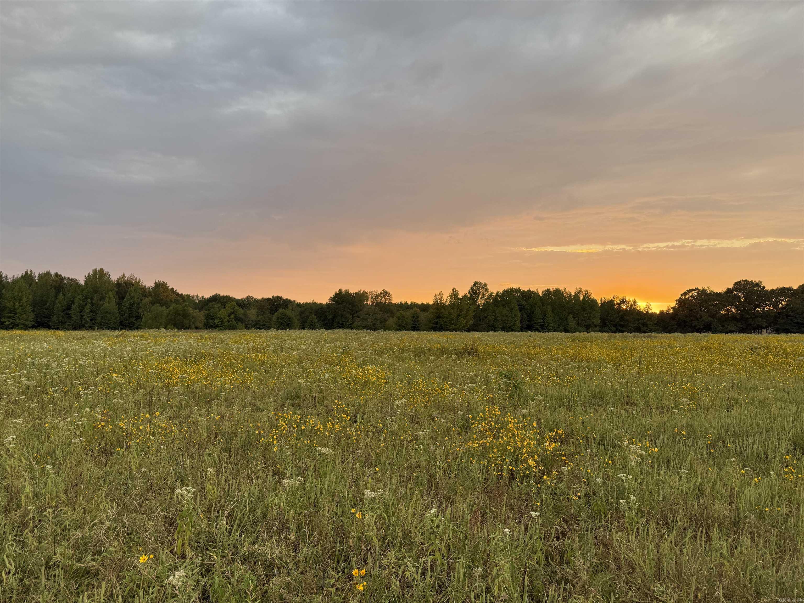 Metes & Bounds - Farm