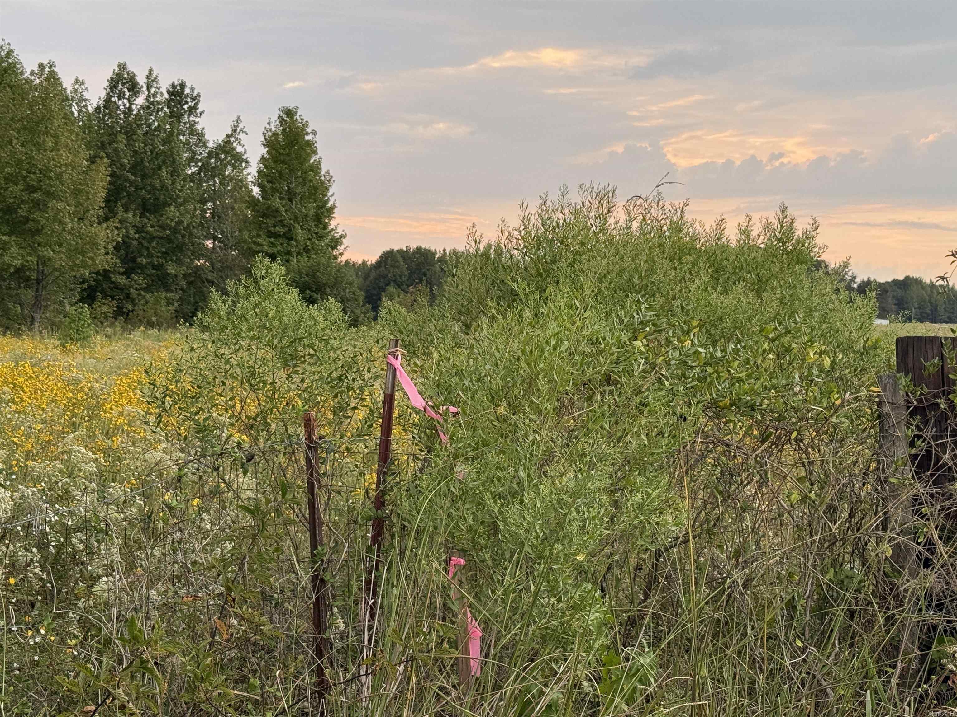 Metes & Bounds - Farm