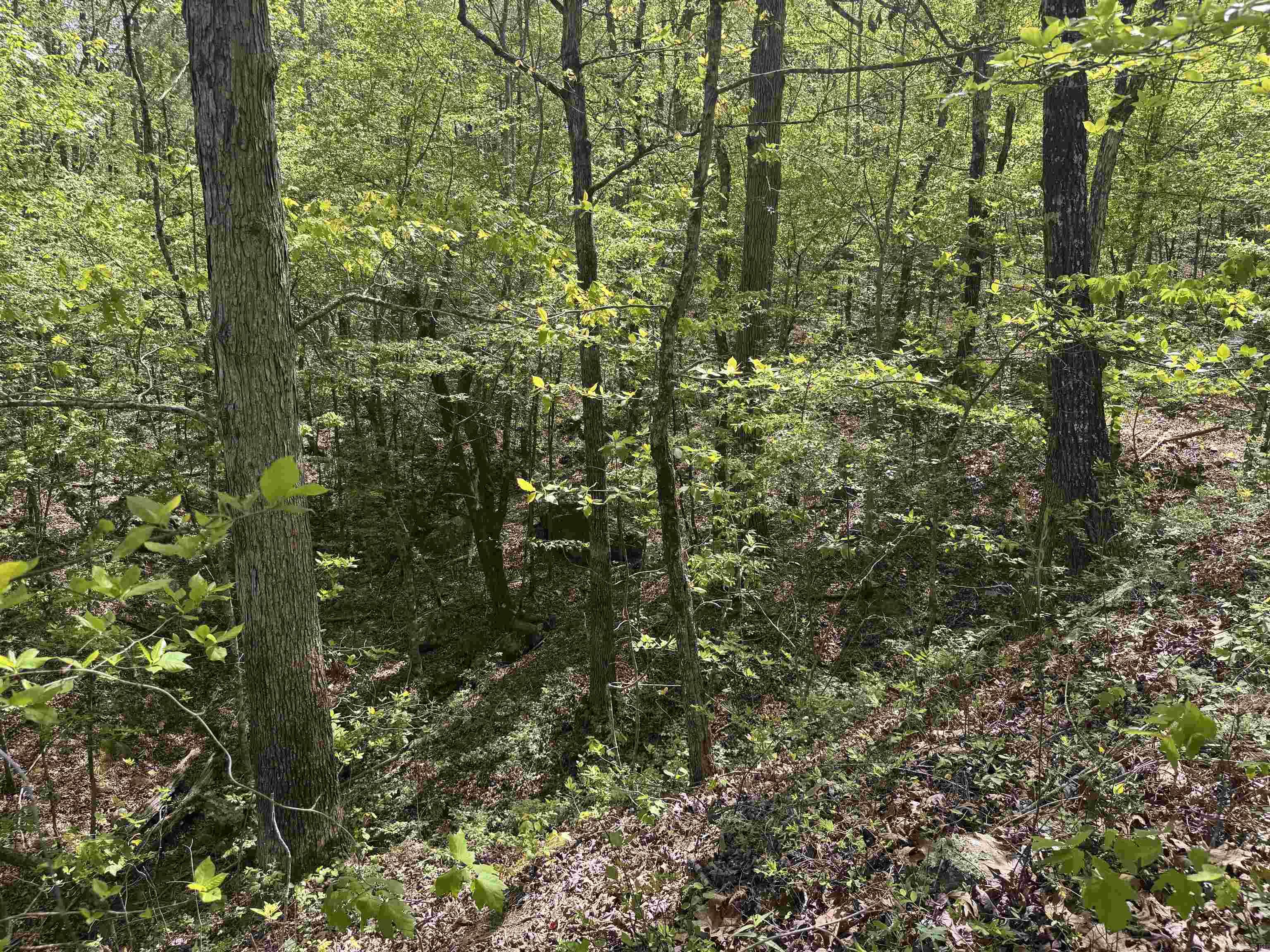 Metes & Bounds - Land