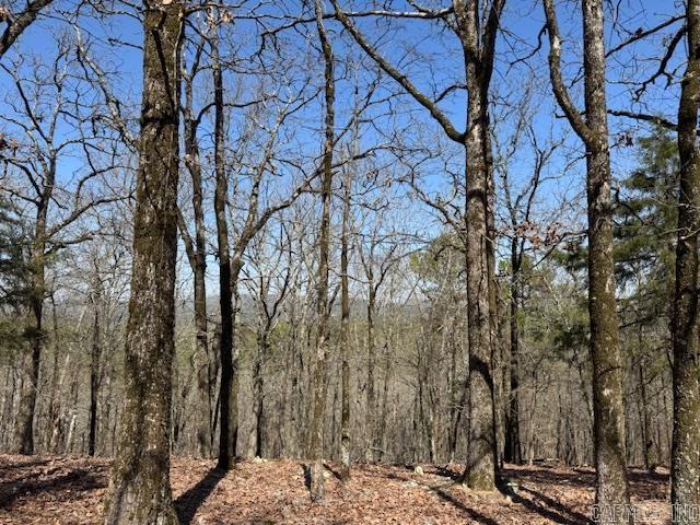 Beautifully wooded 20.63 +/- acres off of Fox Ridge Road and Cascade Creek which is part of the Triple Creek Subdivision. This property has many great features including a creek, pond and some of the best views in Ferndale! Large Ridge for you to build your dream home and have 360 views or build at the bottom of the ridge and over look the Pond. Lots of possibilities! Agents please see comments.
