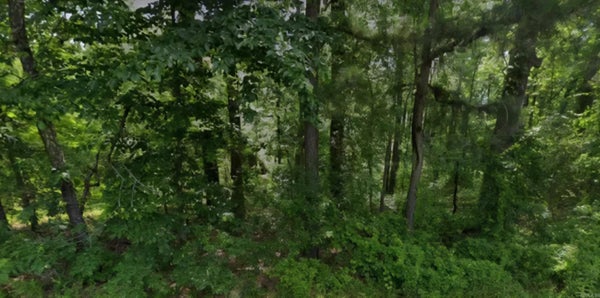 N NORMAN ST, WHITE HALL, AR 71602 - Image 0e56d602fdc446aeba6d35d17a7c4af5/418452776