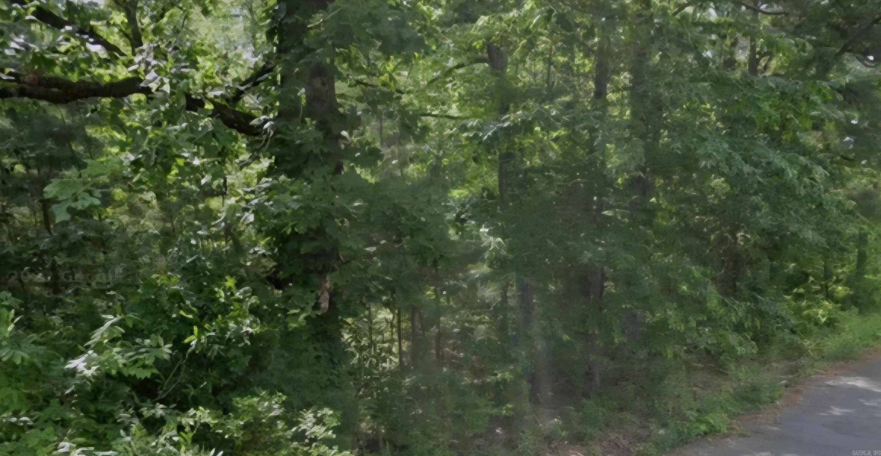 College Heights - Land