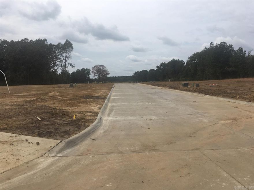 NEW SUBDIVISION IN VILONIA SCHOOL DIST. JUST NORTH OF VILONIA SOCCER FIELDS. 20 LOTS AVAILABLE FROM .24 ACRE TO .35 ACRE IN SIZE. GAS,WATER,ELEC., SEWER AND SUDDEN LINK INTERNET AND CABLE TV AVAILABLE. MINIMUM SQ.FTG. IS 1800 SQ. FT. SEE ATTACHED COVENANTS AND PLAT. CONCRETE STREETS. CALL OFFICE FOR UPDATES ON AVAILABLE LOTS.