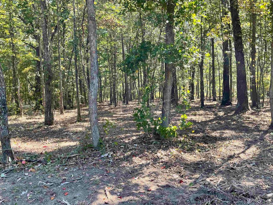 All underbrush has been removed from this beautifully treed ,level, park like building lot..ready for your Full Time Home or "Lake" Getaway.  TINY HOUSES PERMITTED. Quiet subdivision with nice homes.  Conveniently located minutes from Mill Creek Campground and Boat Launch or Lacy's Narrows Marina in Greers Ferry. It's 1 mile from Sugarloaf State Park & Marina, 1/2 Mile from Dollar General, & 1 Block from Short Stop Gas Station/Restaurant.  3/4 acre lot has been surveyed with markers running down the sides  & tape across the back.  Community Water, First Electric Co-Op are all available at the front of the property.  Seller will provide a Septic System Permit at closing. All Sellers' mineral rights will convey to Buyer at closing. See Attached Documents for Survey, Bill of Assurance, Plat & Seller Property Disclosure.