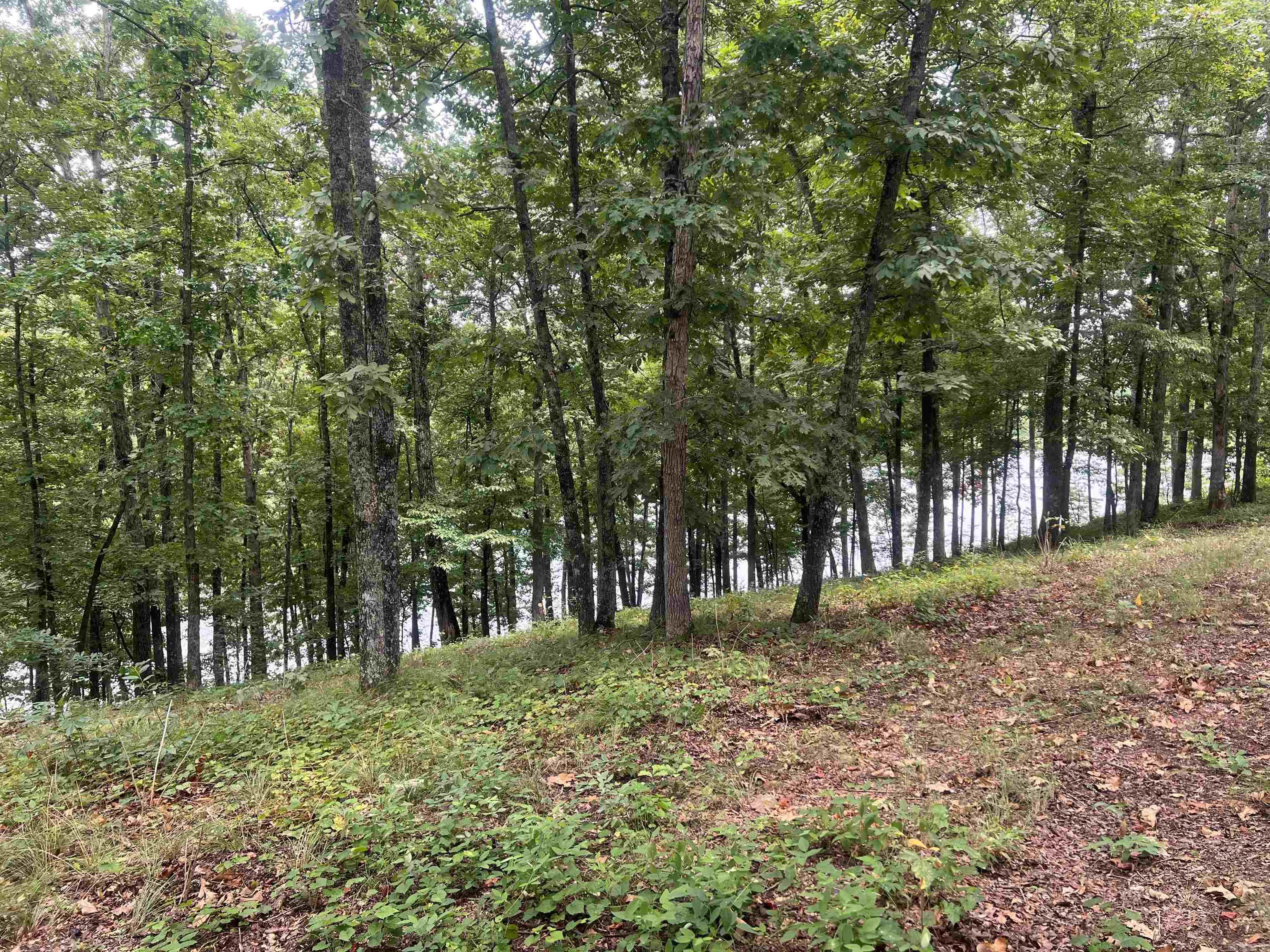 This beautiful lot is located in the highly desirable subdivision Mountain Aire, with lakefront access and fantastic views. Boat docks are allowed on this fishing lake. Only a 6-minute drive from Little Red River and a 7-minute drive from Greers Ferry Lake. Great lot to build on. Water and electricity are available at the road. Very nice area.
