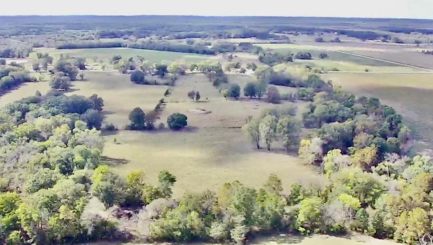 Here is your chance to own some impressive acreage close to the Strawberry River. With Hwy 117 frontage, year-round creek, 2 ponds, and cross fencing already in place, this property has unlimited potential. With 10 +/- acres of timber, the remaining pasture ground yields good quality Bermuda hay. Imagine building your forever home here and having the ability to hunt, fish, run cattle, or just enjoy the view! Land like this is a rare opportunity. Call today to set up your private tour!