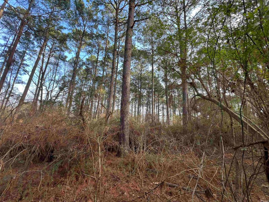 Price Reduced! Seize this rare opportunity to own 6.95+/- wooded acres in a high-demand location on W University St in Magnolia, AR—just minutes from Southern Arkansas University (SAU). With paved road access and a prime location near the University, this property may be ideal for student housing, townhomes, or apartment development to meet the growing need for quality housing in the area. With Magnolia’s economy booming—especially with the newly launched lithium extraction from the Smackover Formation—this site offers an incredible investment opportunity for developers, landlords, and those looking to capitalize on the city's expansion. Whether you’re looking to cater to SAU students, faculty, or professionals moving to the area, this land presents endless possibilities, and at only $187,500! The property’s wooded landscape provides privacy and natural beauty while still being conveniently located near shopping, dining, and campus amenities. All utilities are nearby, making development seamless. Don’t miss out on this strategic investment in Magnolia’s fast-growing market! Mineral rights do not convey.