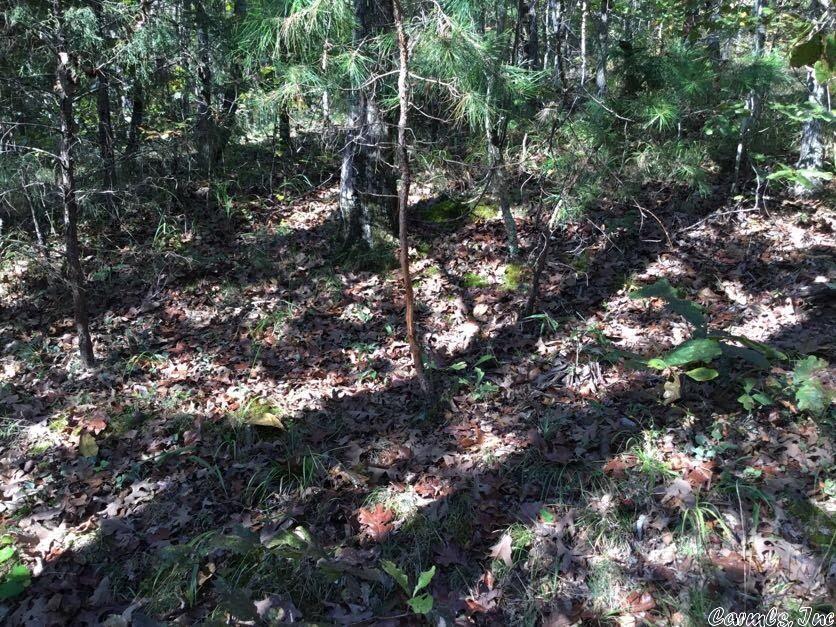 West Little Rock - Land